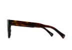 WEST-Kola Tortoise / Green Polarized-55 sold by RAEN