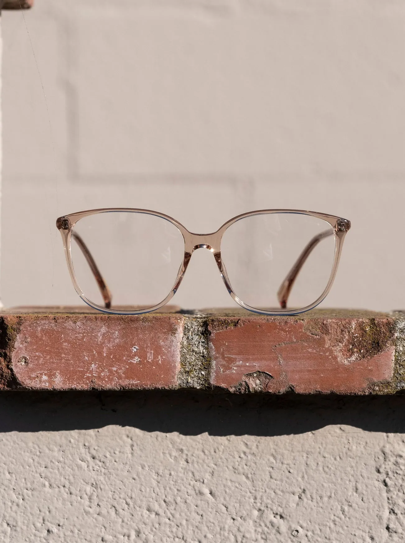 DAISEY-Almond Tortoise / Clear-57 sold by RAEN product image thumbnail 4