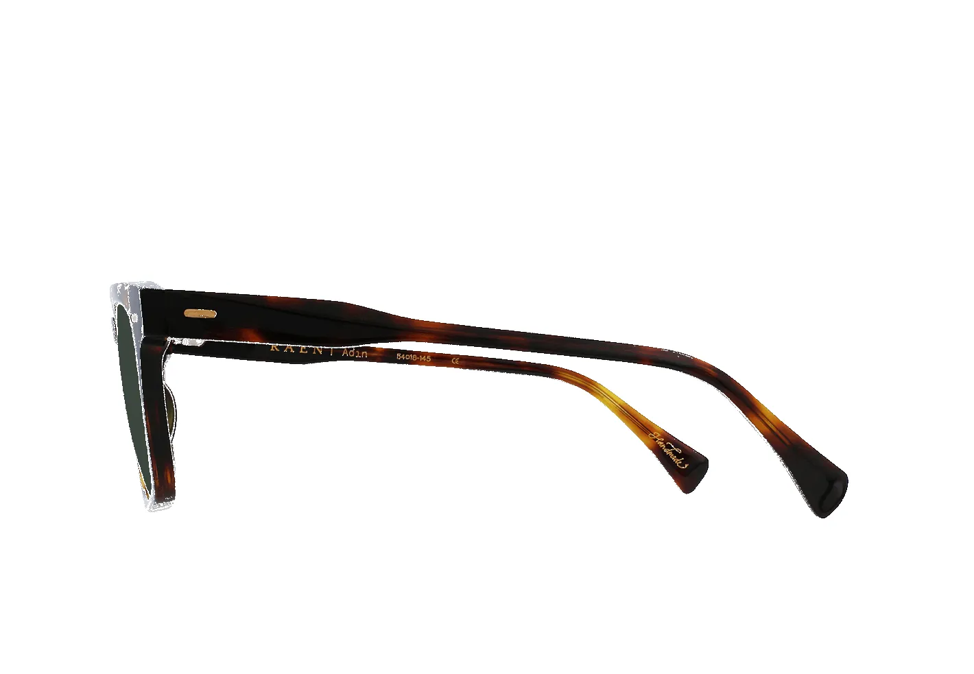 ADIN-Kola Tortoise / Green Polarized-54 sold by RAEN product image thumbnail 3