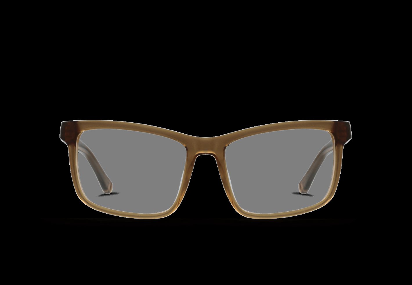 OXNARD-Kelp / Clear-53 sold by RAEN