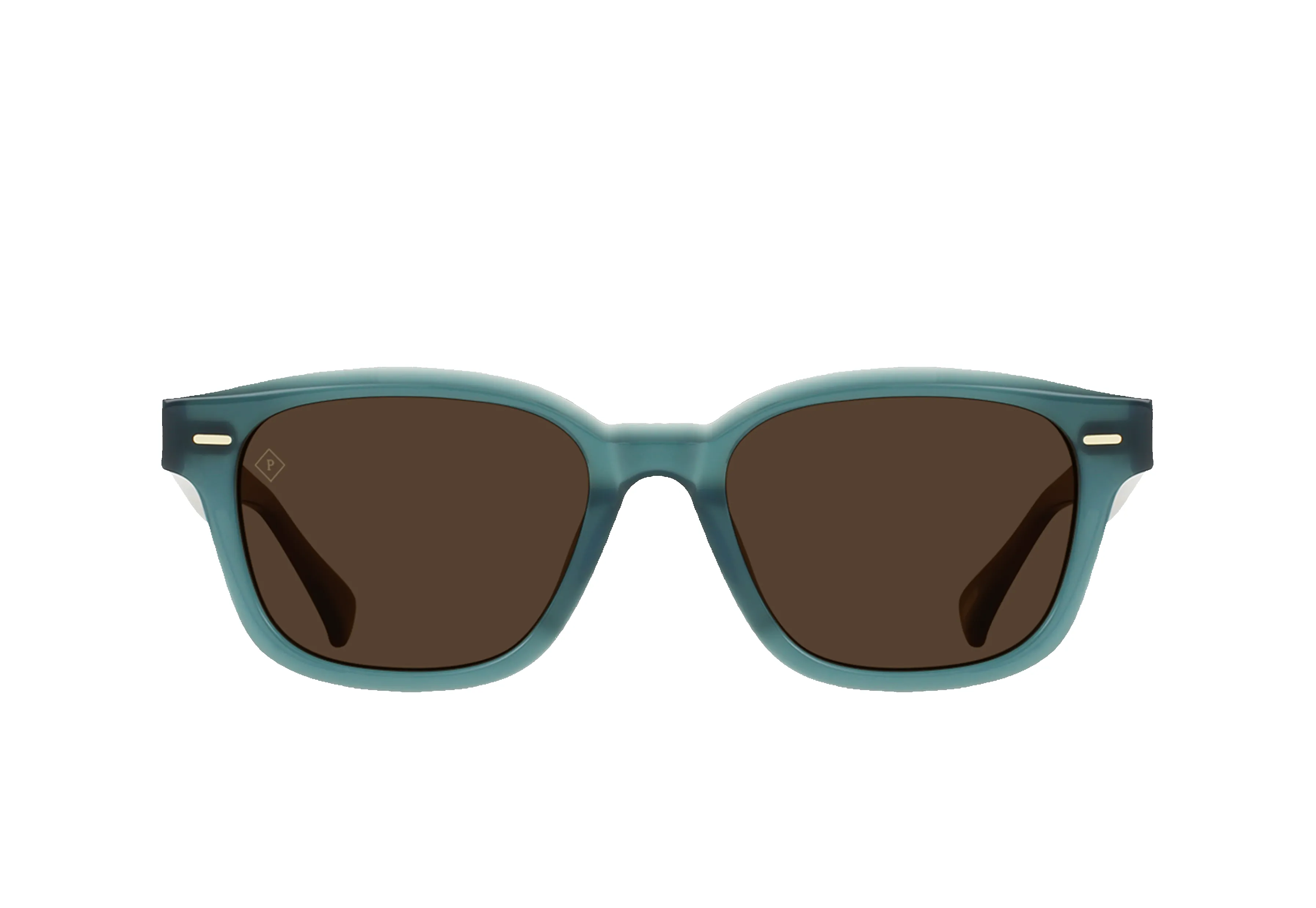 CARBY-Cirus / Vibrant Brown Polarized-53 sold by RAEN
