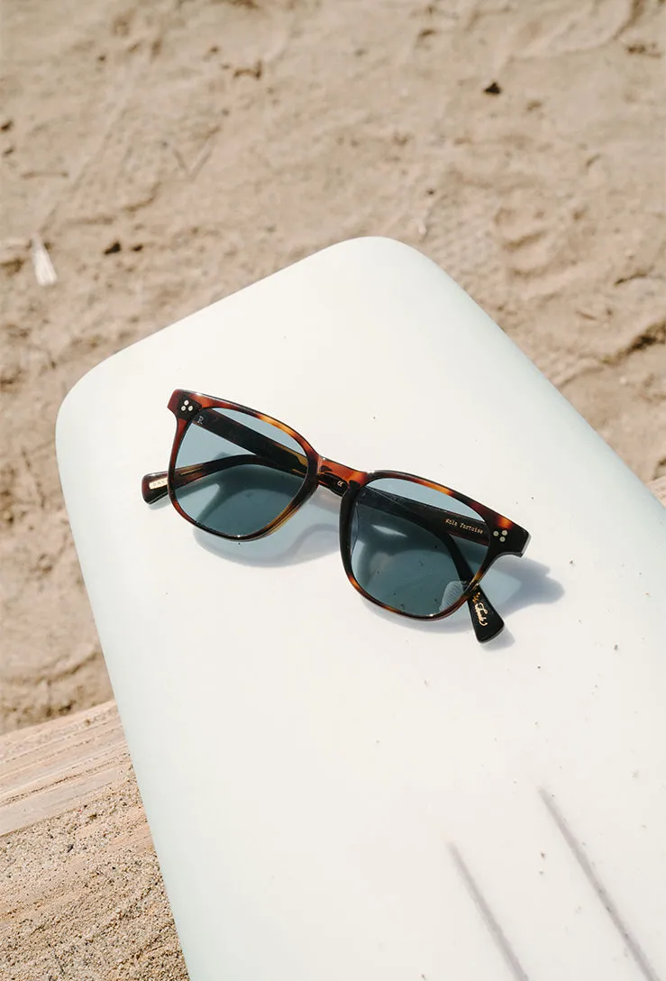 ALVEZ-Kola Tortoise / Pacifica-50 sold by RAEN product image thumbnail 5