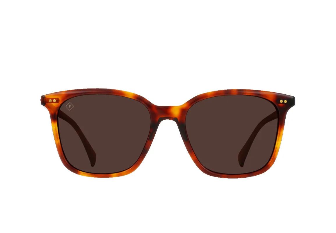 Darine-Golden Daze Tortoise / Drift Polarized-55 sold by RAEN