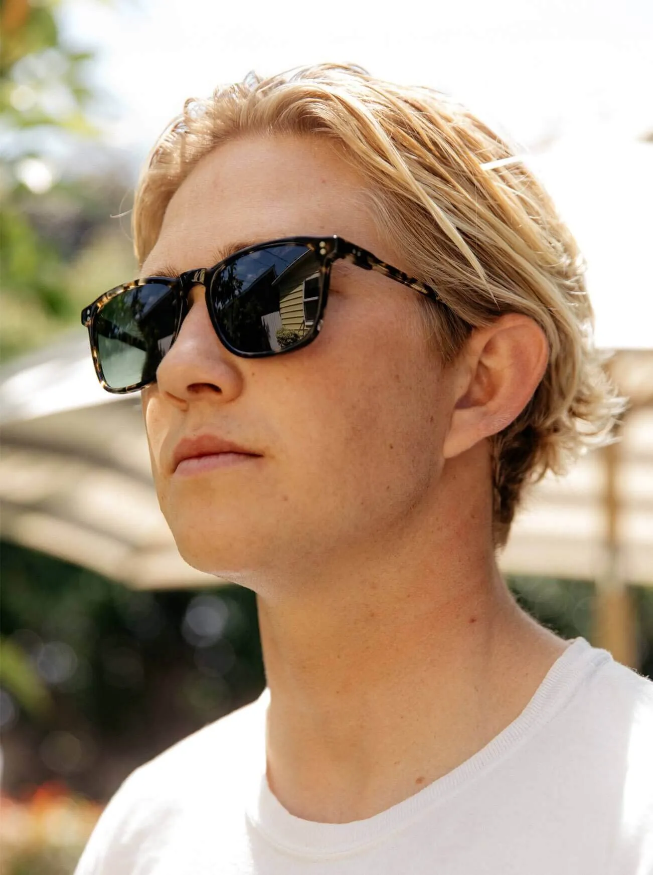 Wiley-Eden / Vibrant Brown Polarized-54 sold by RAEN product image thumbnail 2