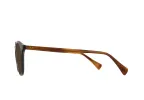 Basq-Pinyon Grove / Vibrant Brown Polarized-50 sold by RAEN