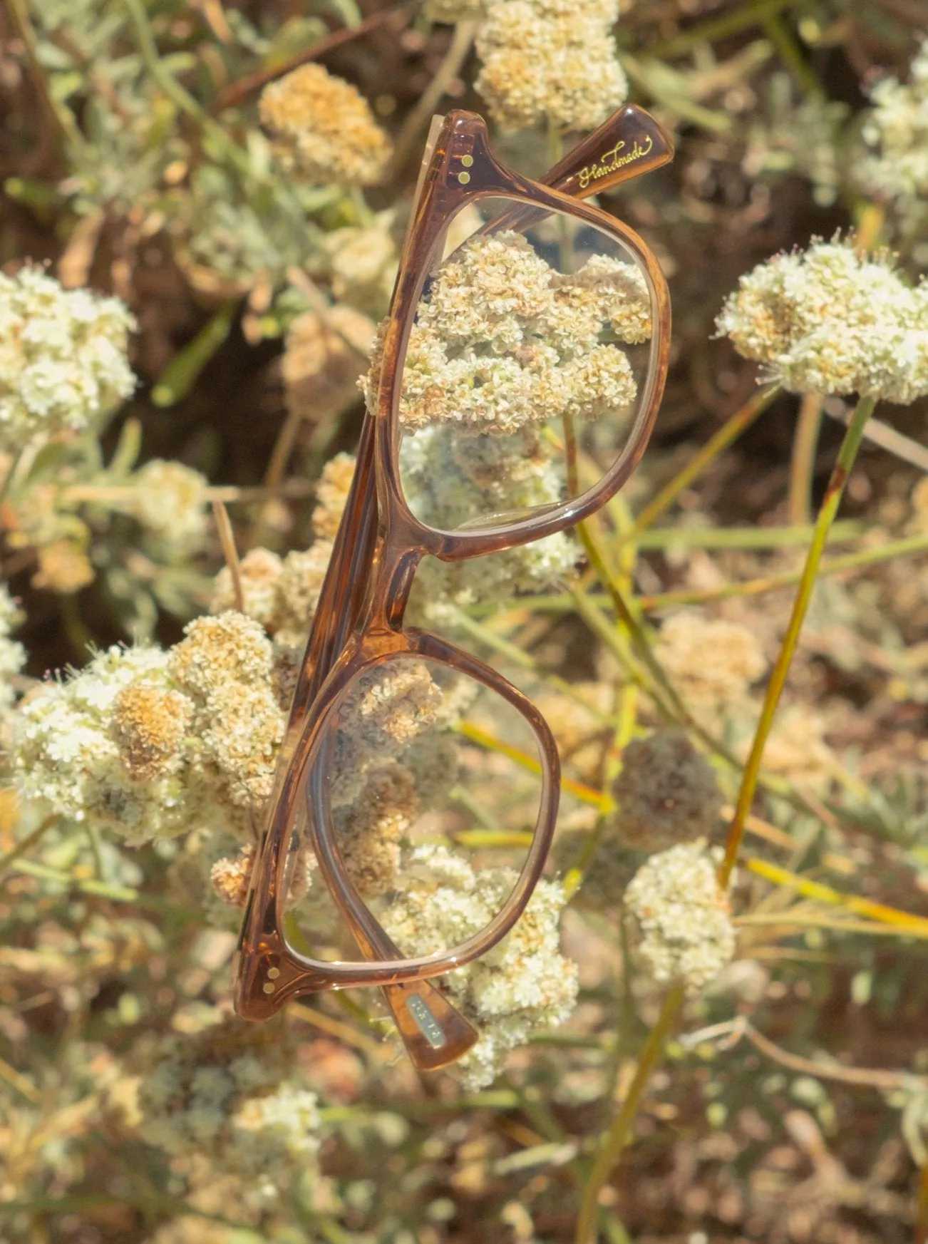 Rozin-Bonbon Tortoise / Clear-50 sold by RAEN product image thumbnail 5