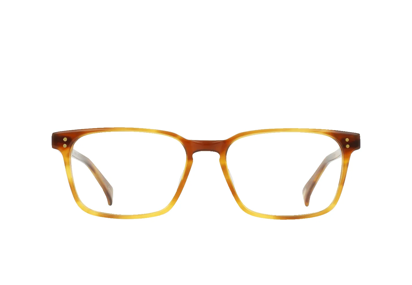 Nolan-Santa Fe Tortoise / Clear-55 sold by RAEN