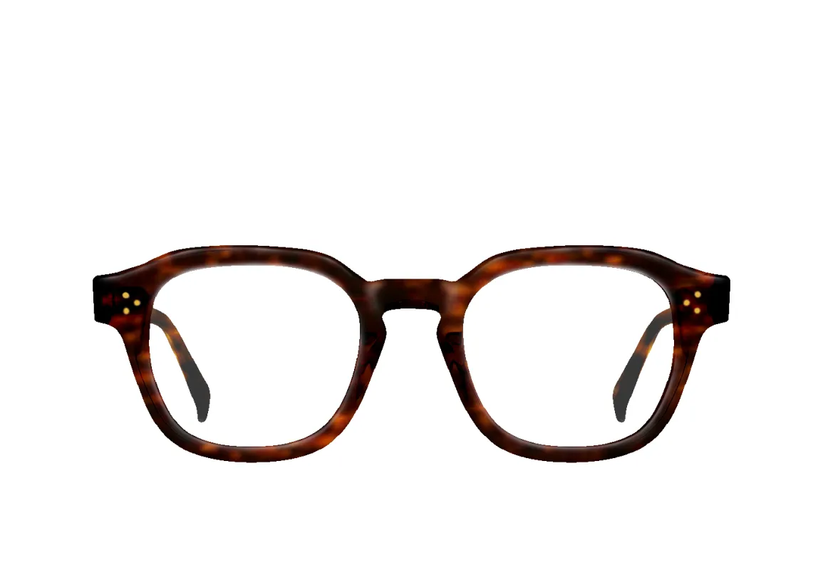 RILKO-Kola Tortoise / Clear-48 sold by RAEN