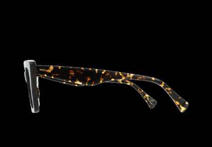 KEERA-Cosmos Tortoise / Dark Smoke-54 sold by RAEN