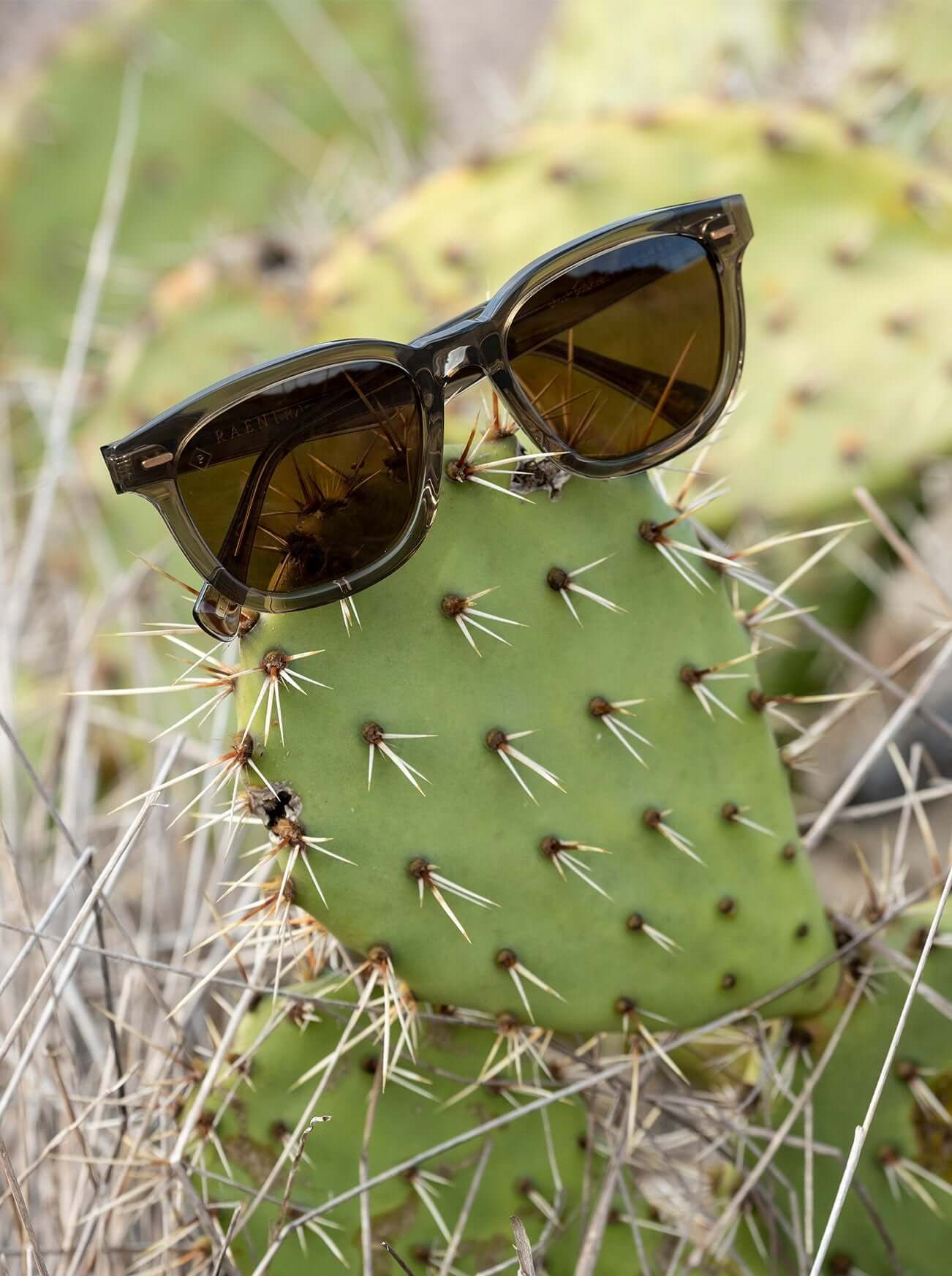 MYLES-Ghost / Vibrant Brown Polarized-53 sold by RAEN product image thumbnail 4