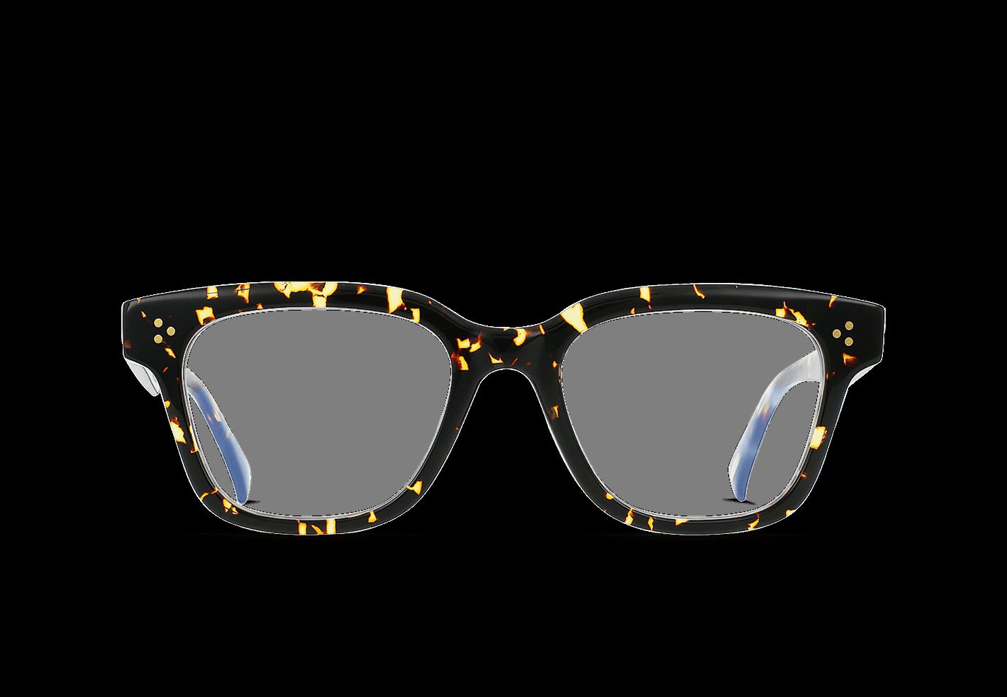 STASE-Cosmos Tortoise + Azul / Clear-52 sold by RAEN