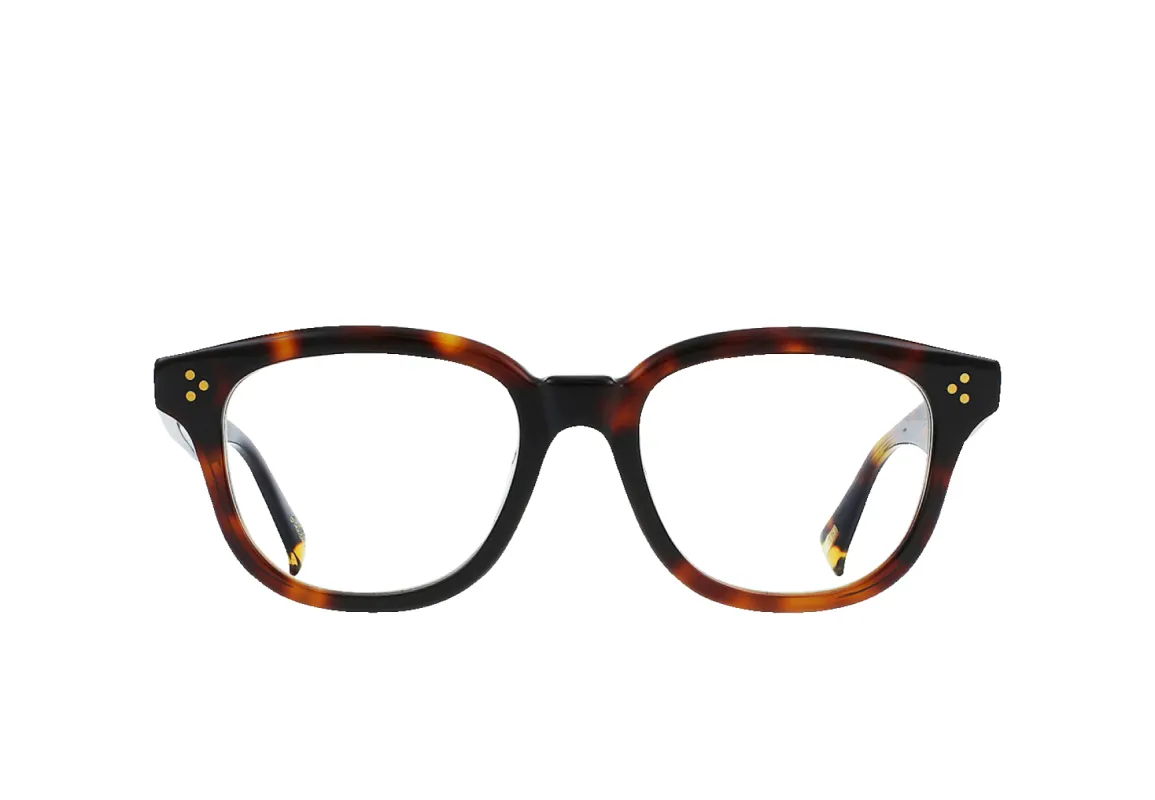 BLUTH-Kola Tortoise / Luna / Clear-50 sold by RAEN