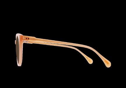 NORIE-Papaya / Vibrant Brown Polarized-53 sold by RAEN
