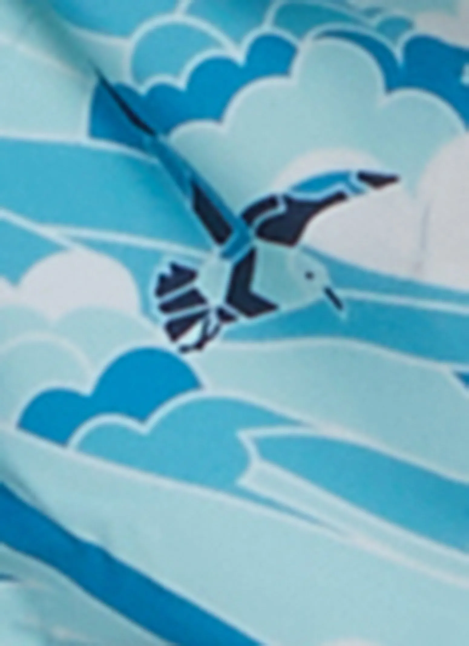 Mens Patterned Swim Trunks sold by Rainbow product image thumbnail 4