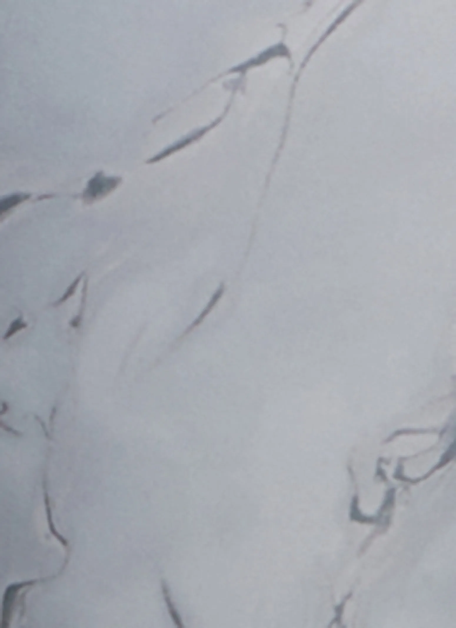 Plus Size Marble Print Pocket Leggings sold by Rainbow product image thumbnail 3