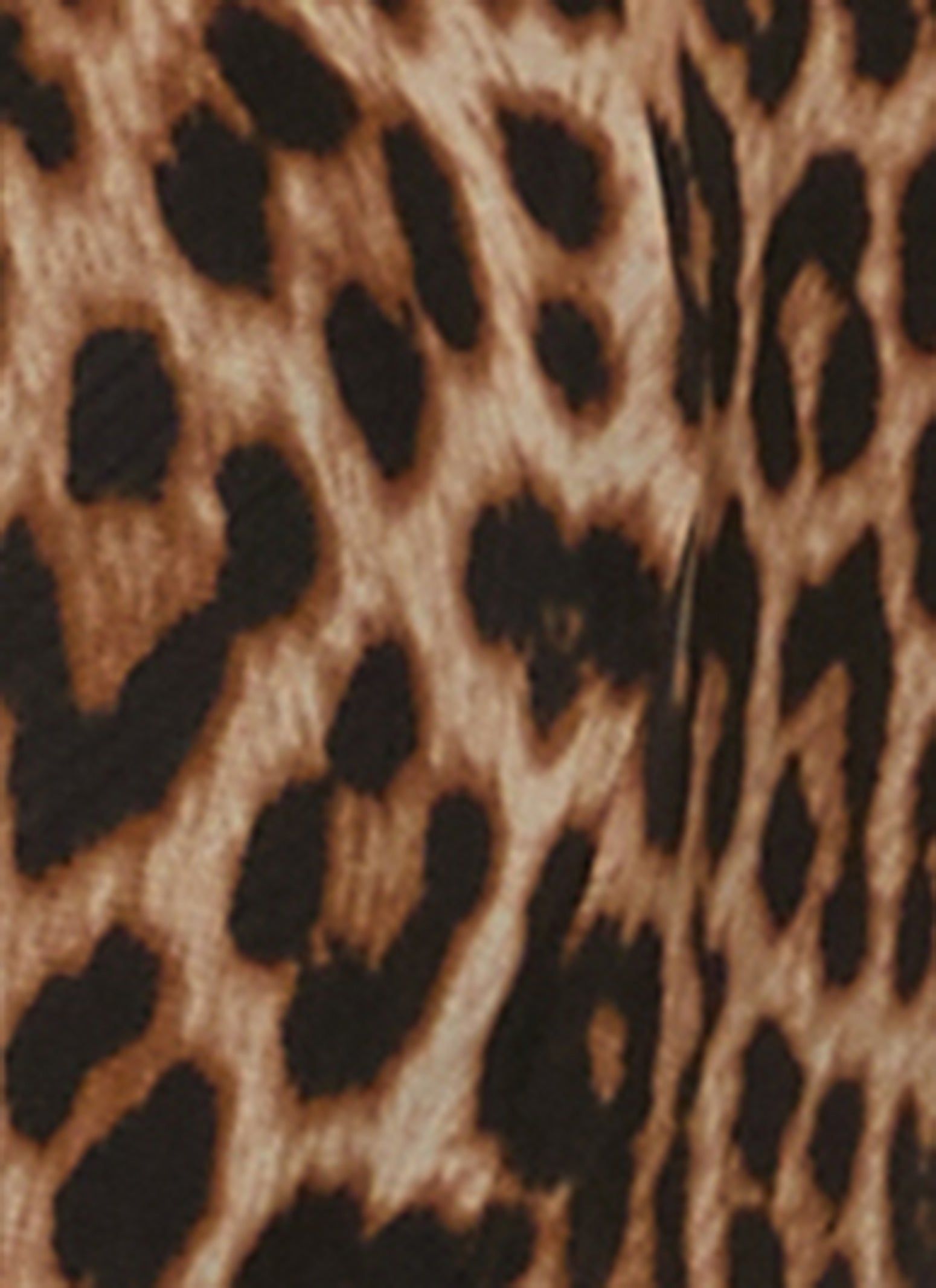 Mesh Leopard Print Cardigan sold by Rainbow product image thumbnail 3