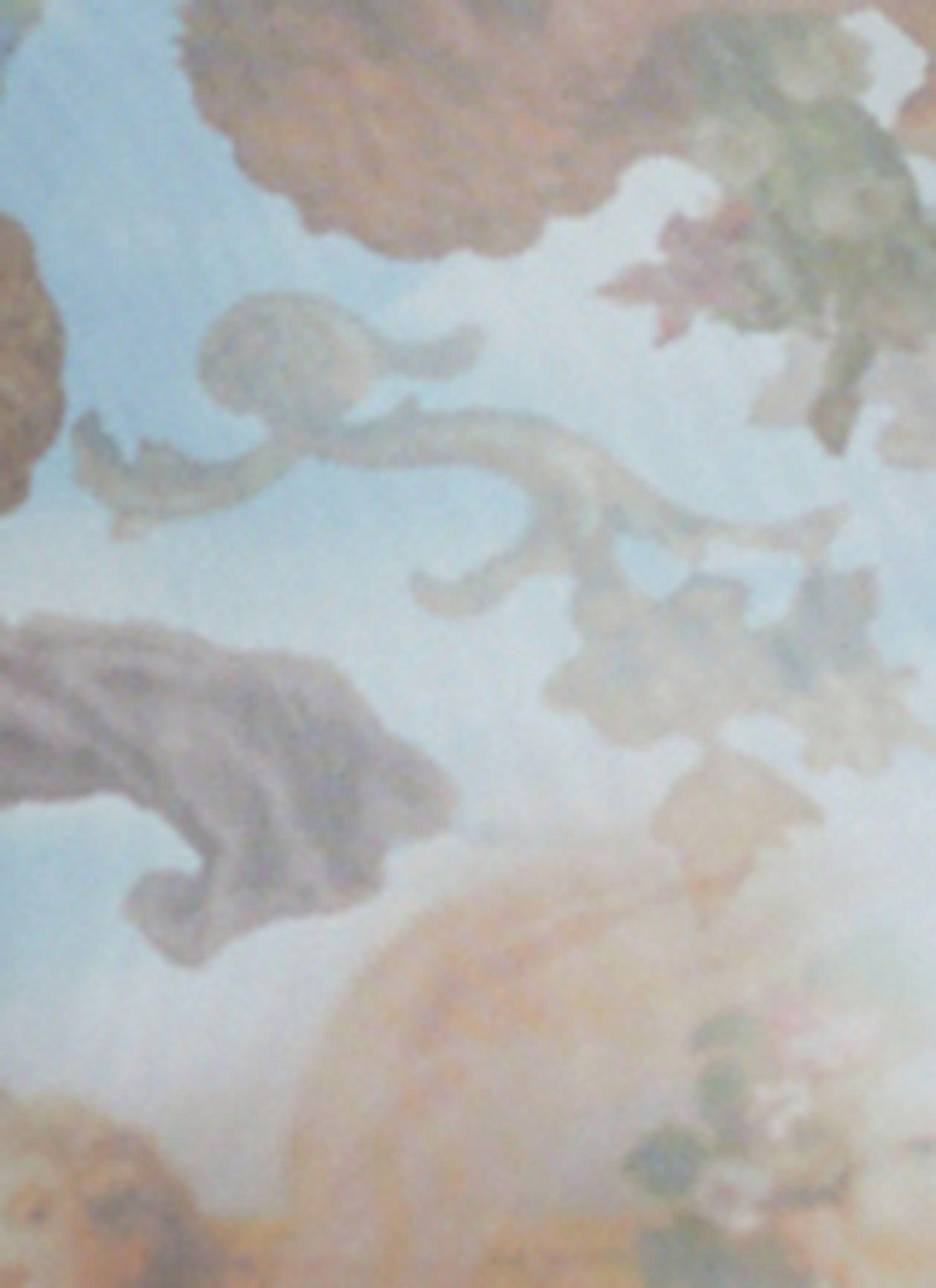 Mesh Printed Long Sleeve Maxi Dress sold by Rainbow product image thumbnail 4