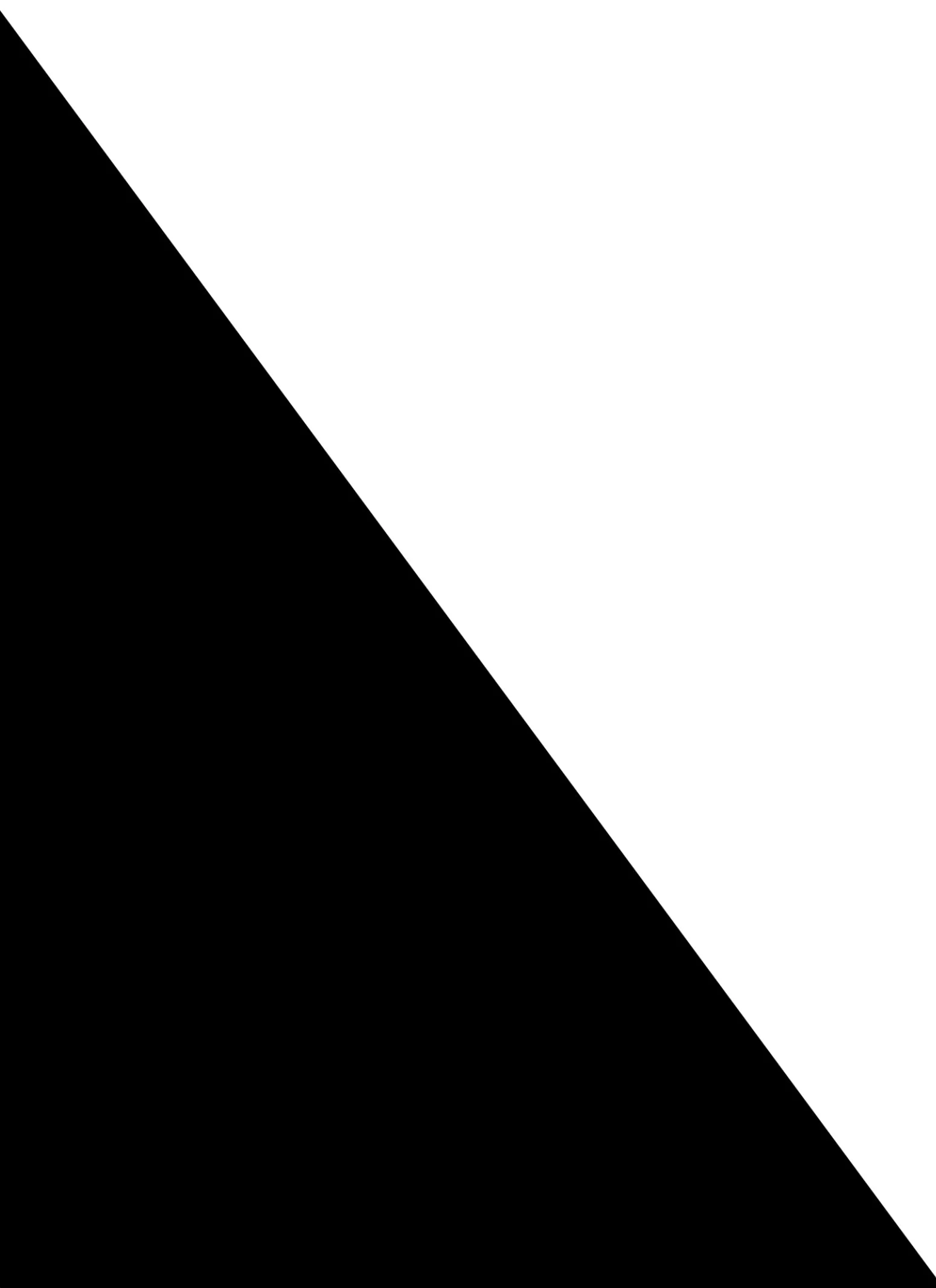 Mesh Bustier Cropped Tee sold by Rainbow product image thumbnail 3