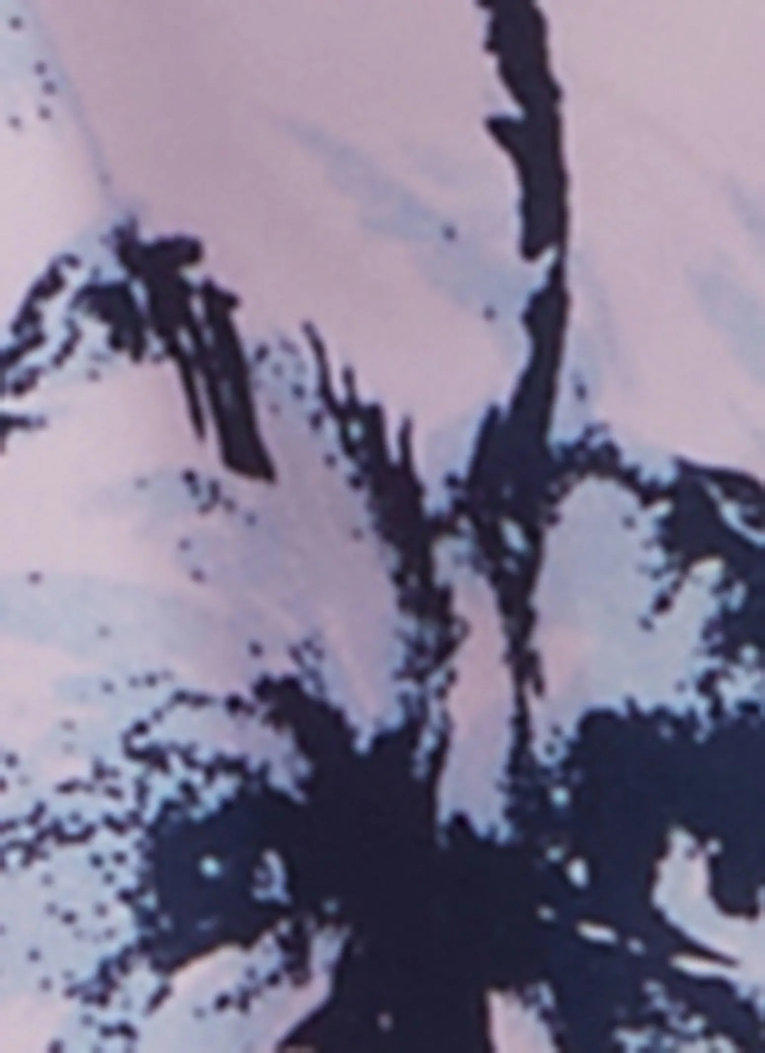 Mens Patterned Swim Trunks sold by Rainbow product image thumbnail 4