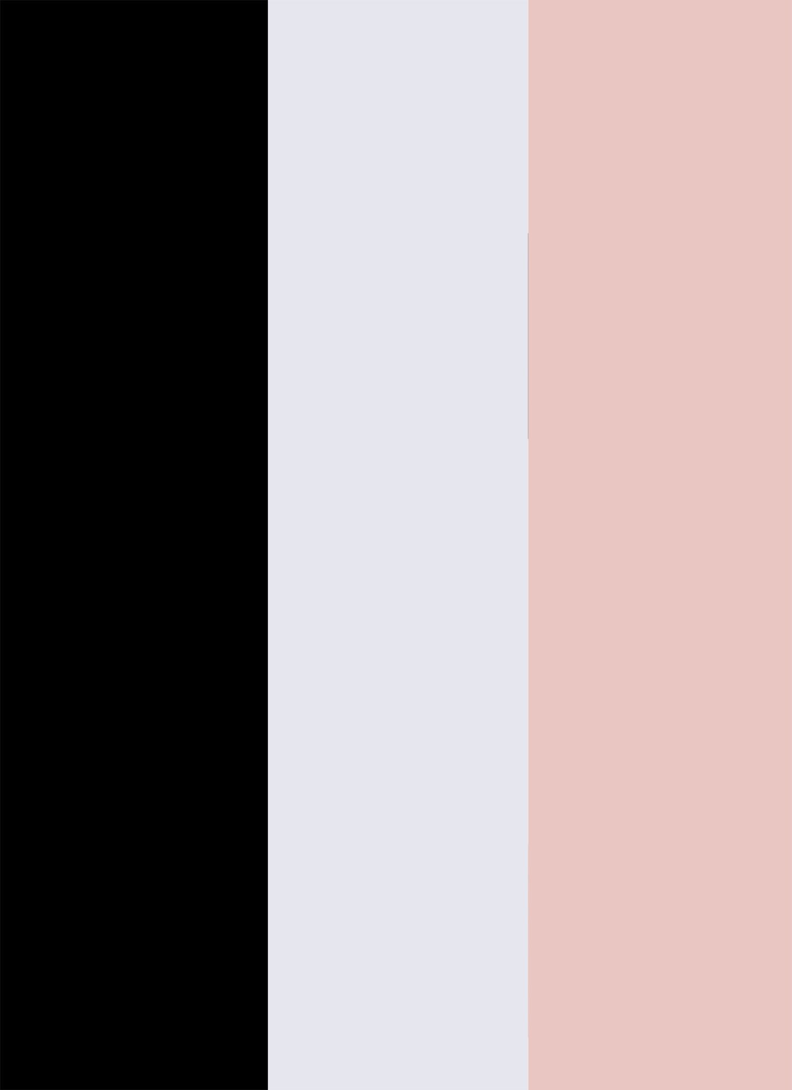 Bebe Seamless Sports Bra 3 Pack sold by Rainbow product image thumbnail 3