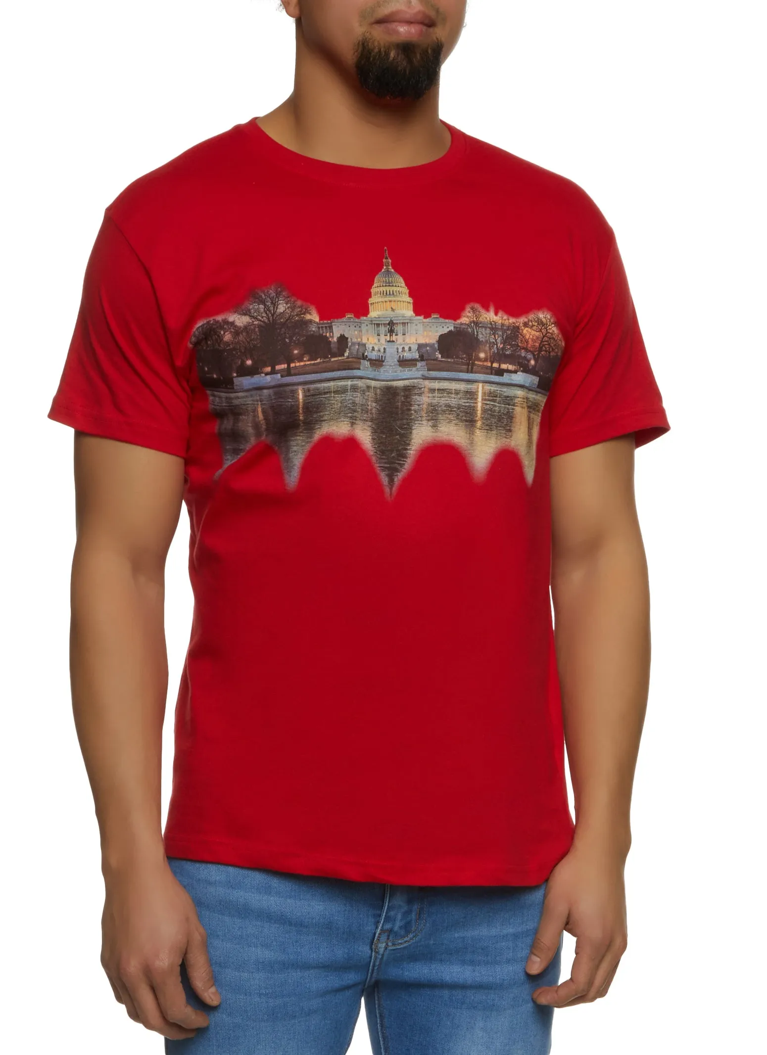 Mens Washington DC Graphic Tee | Parallel