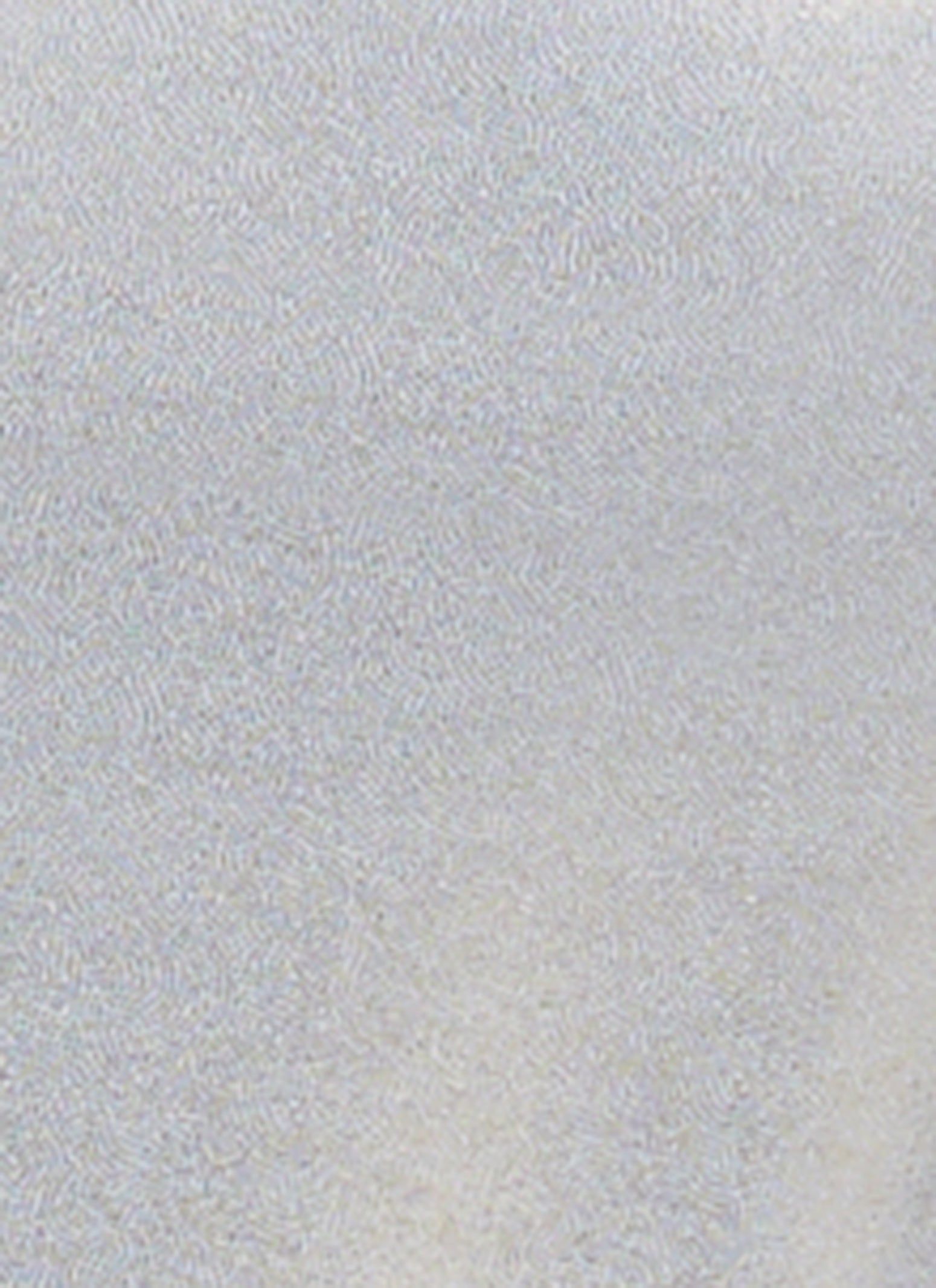 Plus Size Holographic One Piece Swimsuit sold by Rainbow product image thumbnail 4