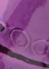 Sicura Sultry City Perfume sold by Rainbow