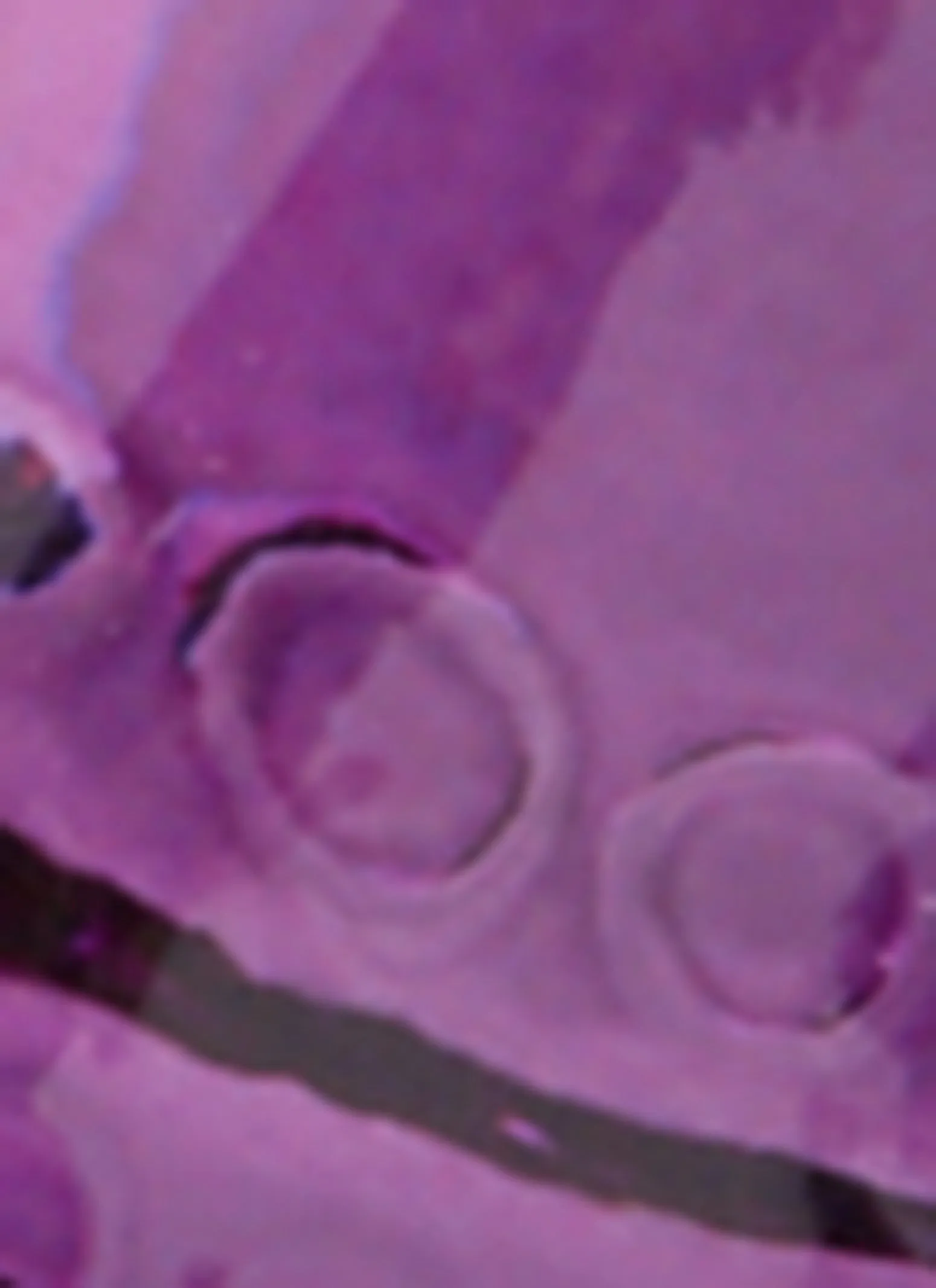 Sicura Sultry City Perfume sold by Rainbow product image thumbnail 4