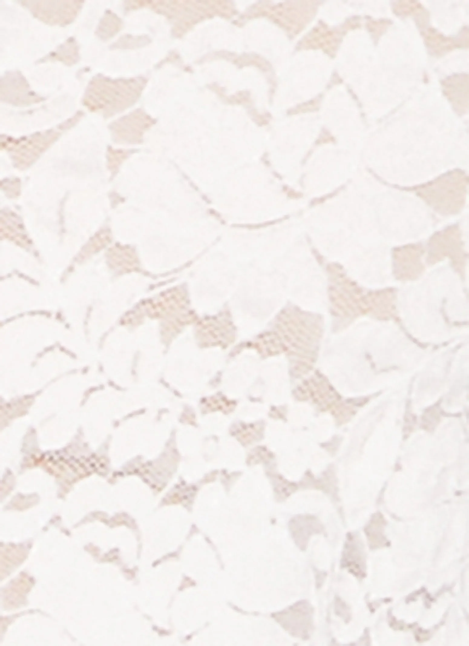 Floral Lace Button Front Crop Top sold by Rainbow product image thumbnail 4