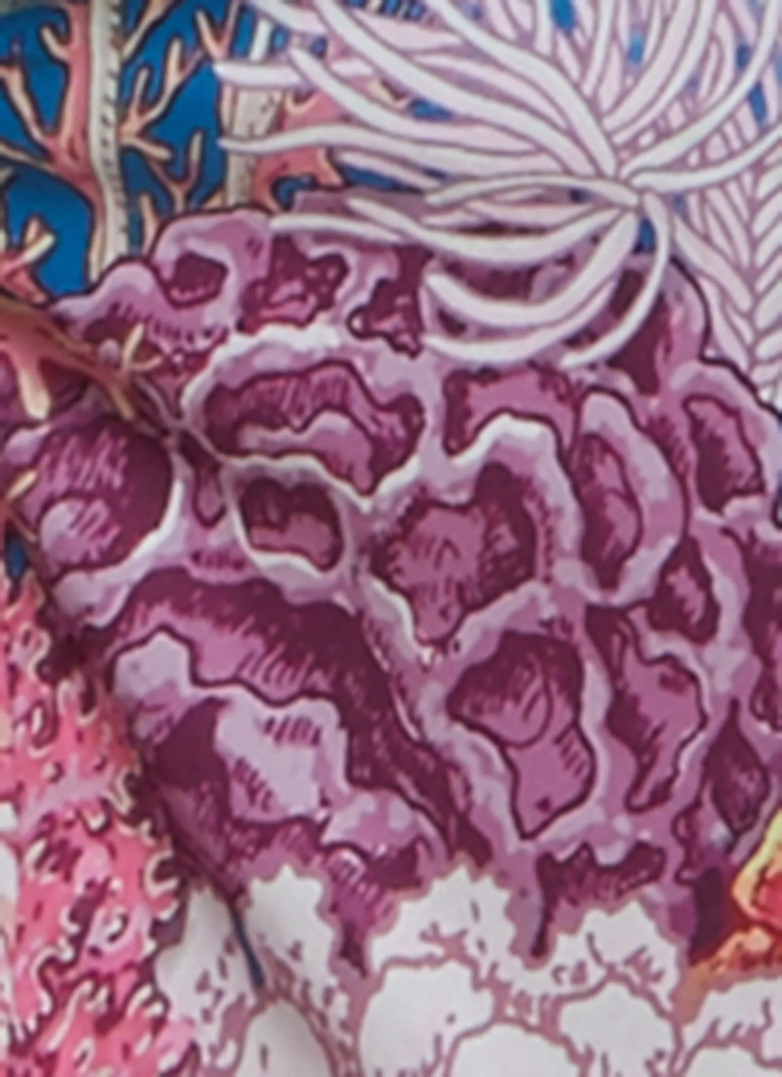 Mens Printed Swim Trunks sold by Rainbow product image thumbnail 4