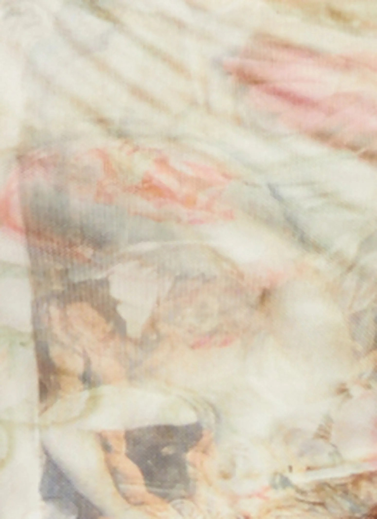 Mesh Printed Lettuce Edge Short Sleeve Top sold by Rainbow product image thumbnail 4