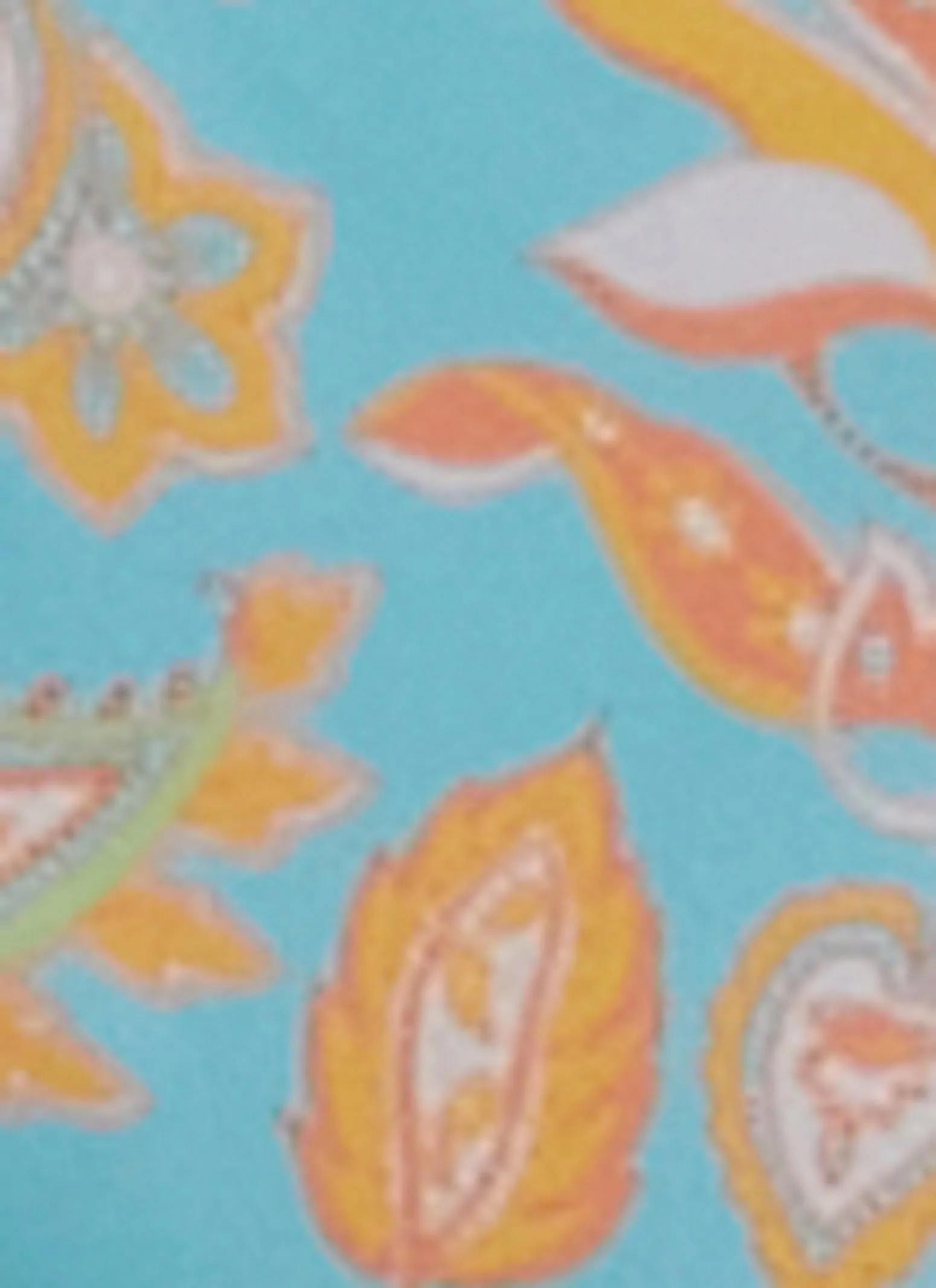 Paisley Side Loop Hipster Swim Bikini Bottoms sold by Rainbow product image thumbnail 3