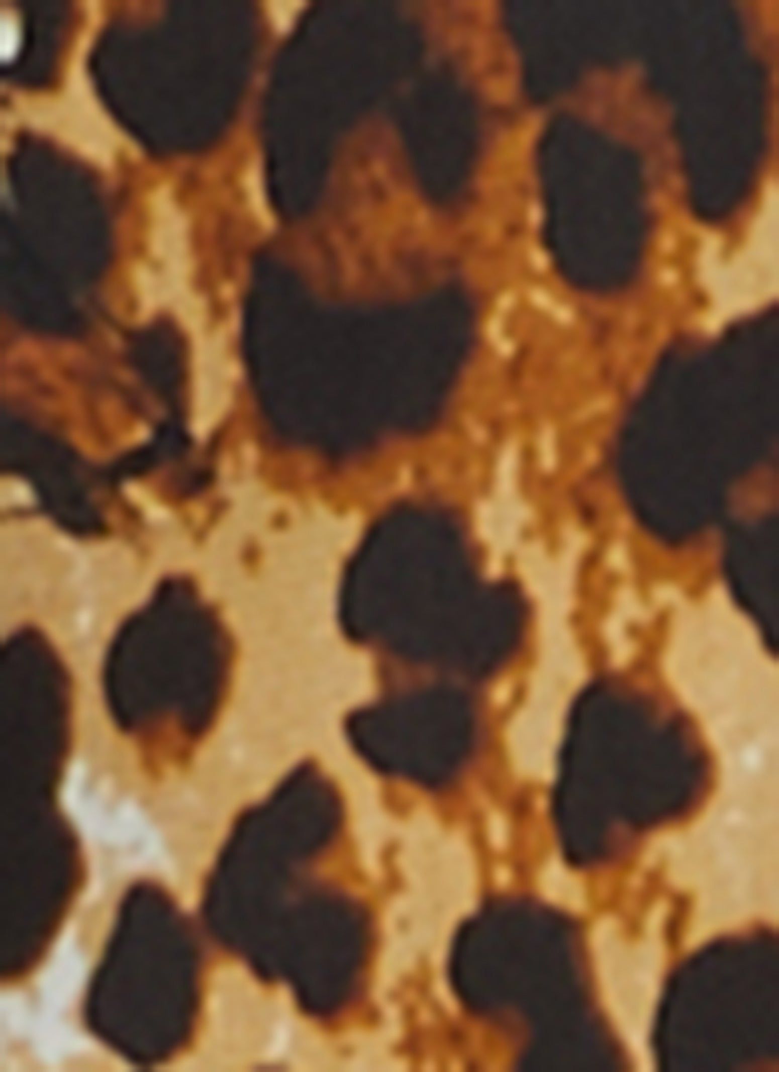 Animal Print Tie Front Top sold by Rainbow product image thumbnail 3