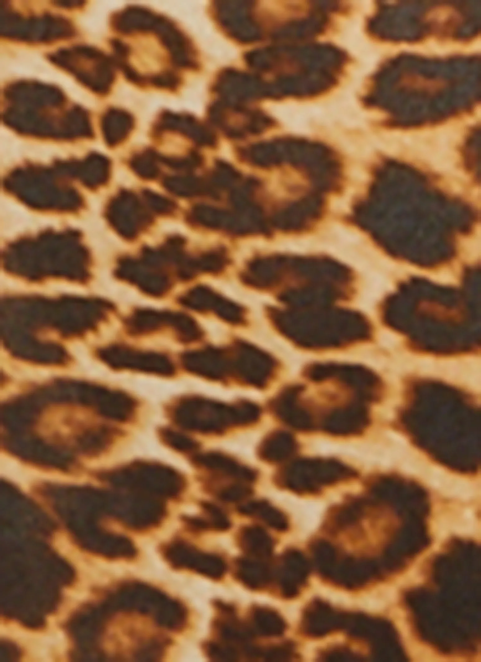 Leopard Cut Out Bodycon Maxi Dress sold by Rainbow product image thumbnail 4