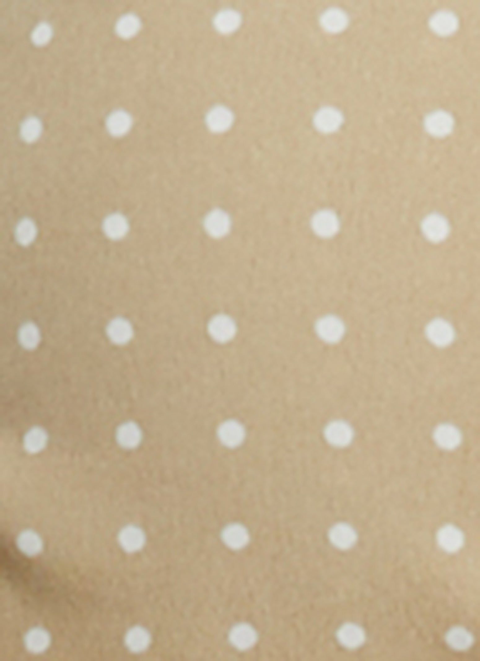 Polka Dot Ruched Zip Front Off the Shoulder Top sold by Rainbow product image thumbnail 3