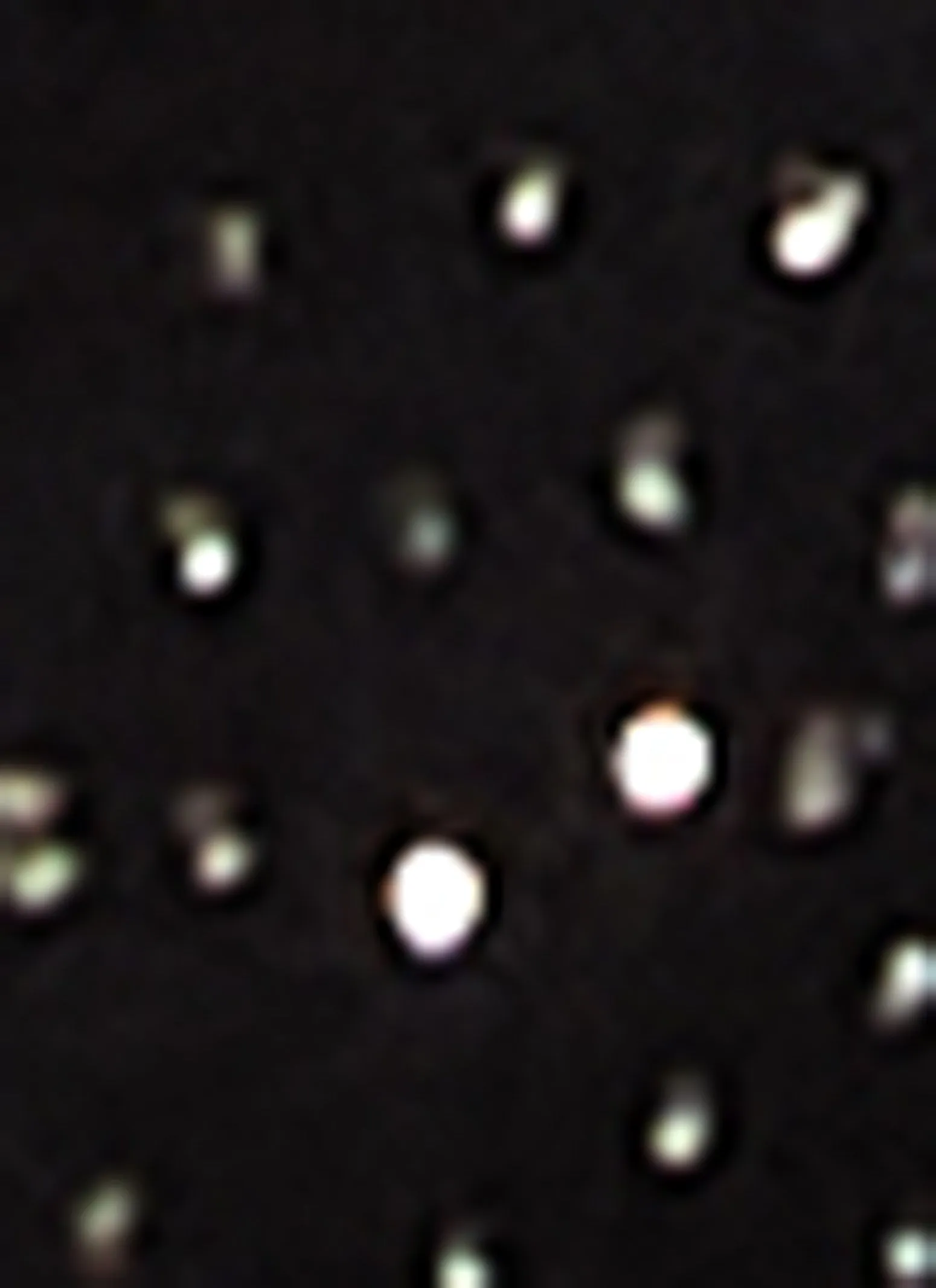 Daisy Rhinestone Cropped Jean Jacket sold by Rainbow product image thumbnail 4