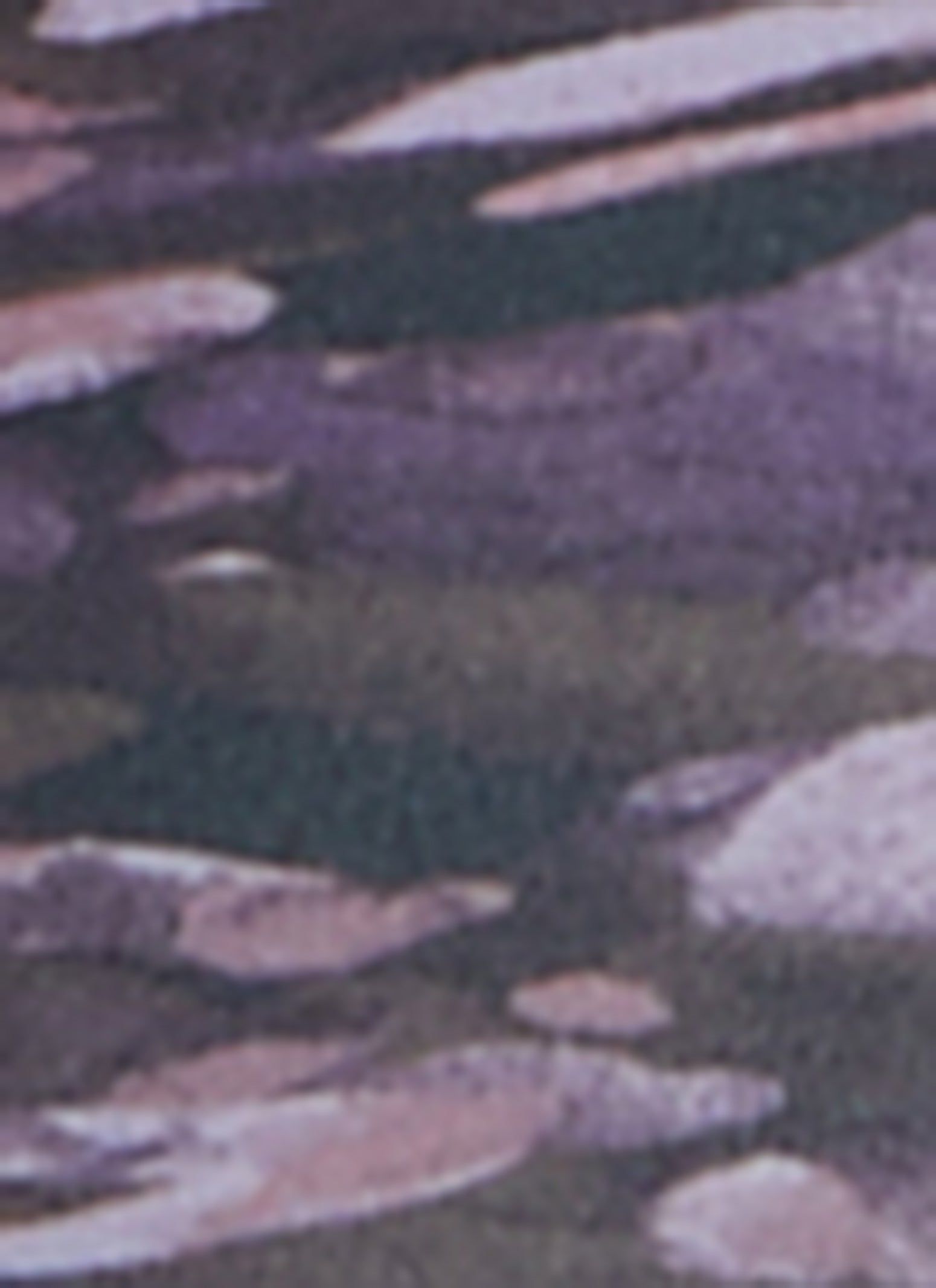 Plus Size Printed High Waist Leggings sold by Rainbow product image thumbnail 3