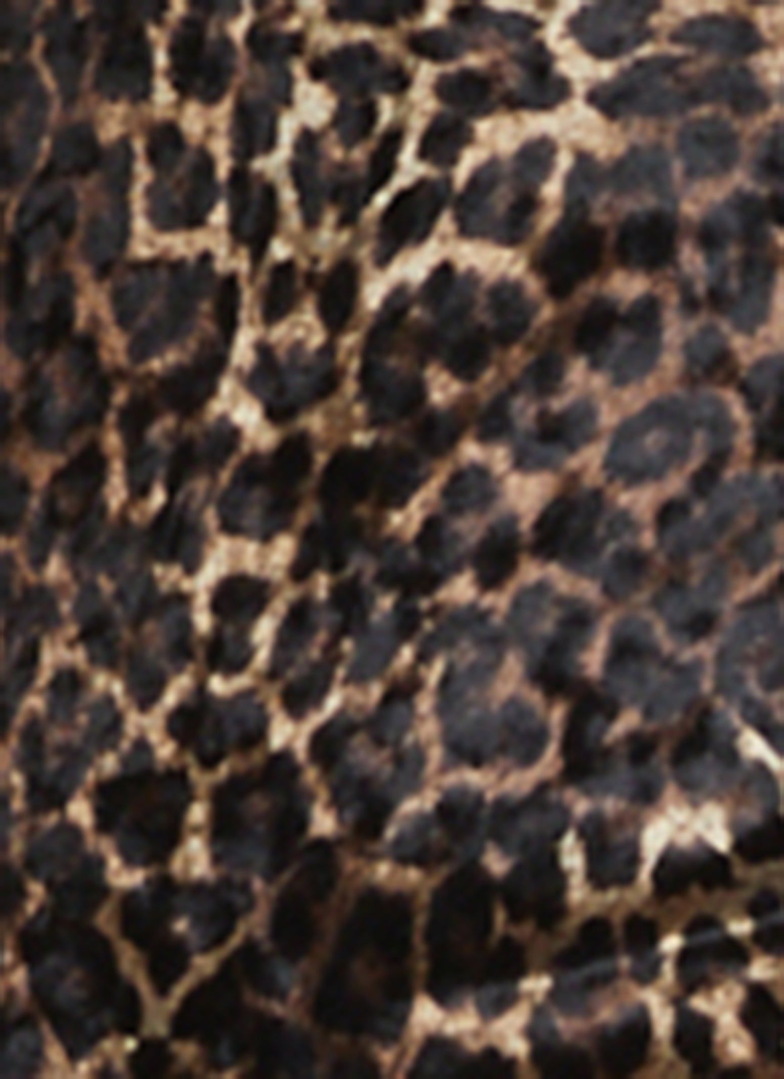 Velvet Leopard Print Maxi Cami Dress sold by Rainbow product image thumbnail 4