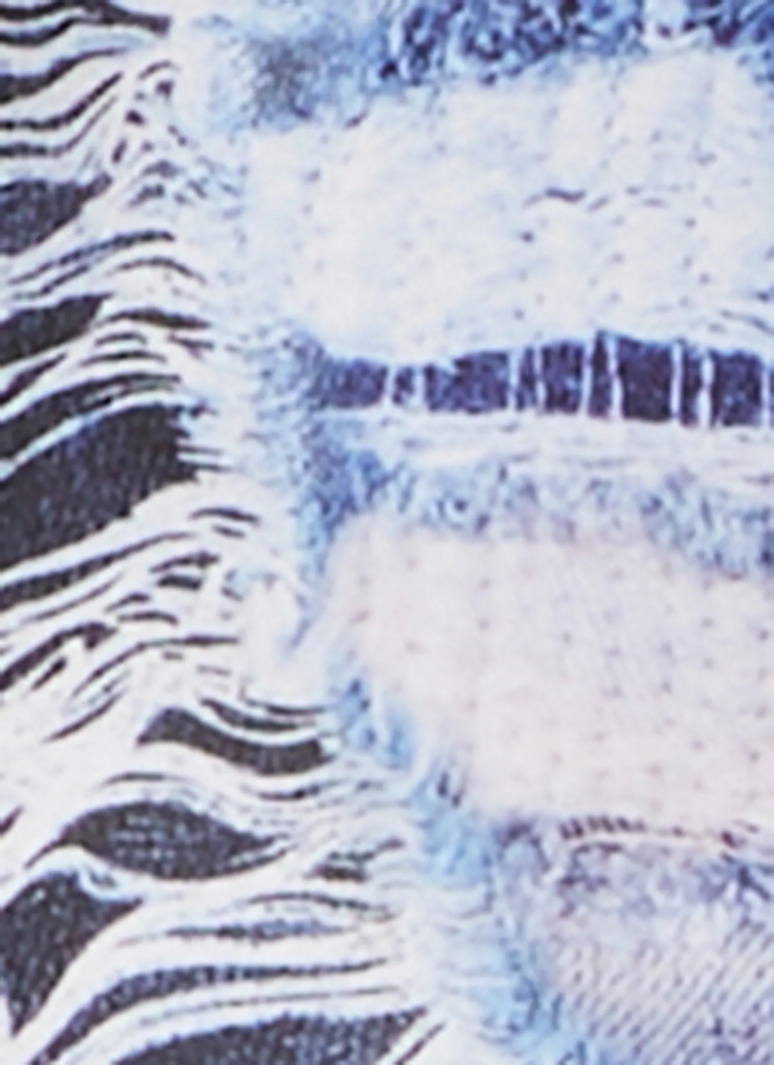 Twist Front Denim Print Crop Top sold by Rainbow product image thumbnail 4