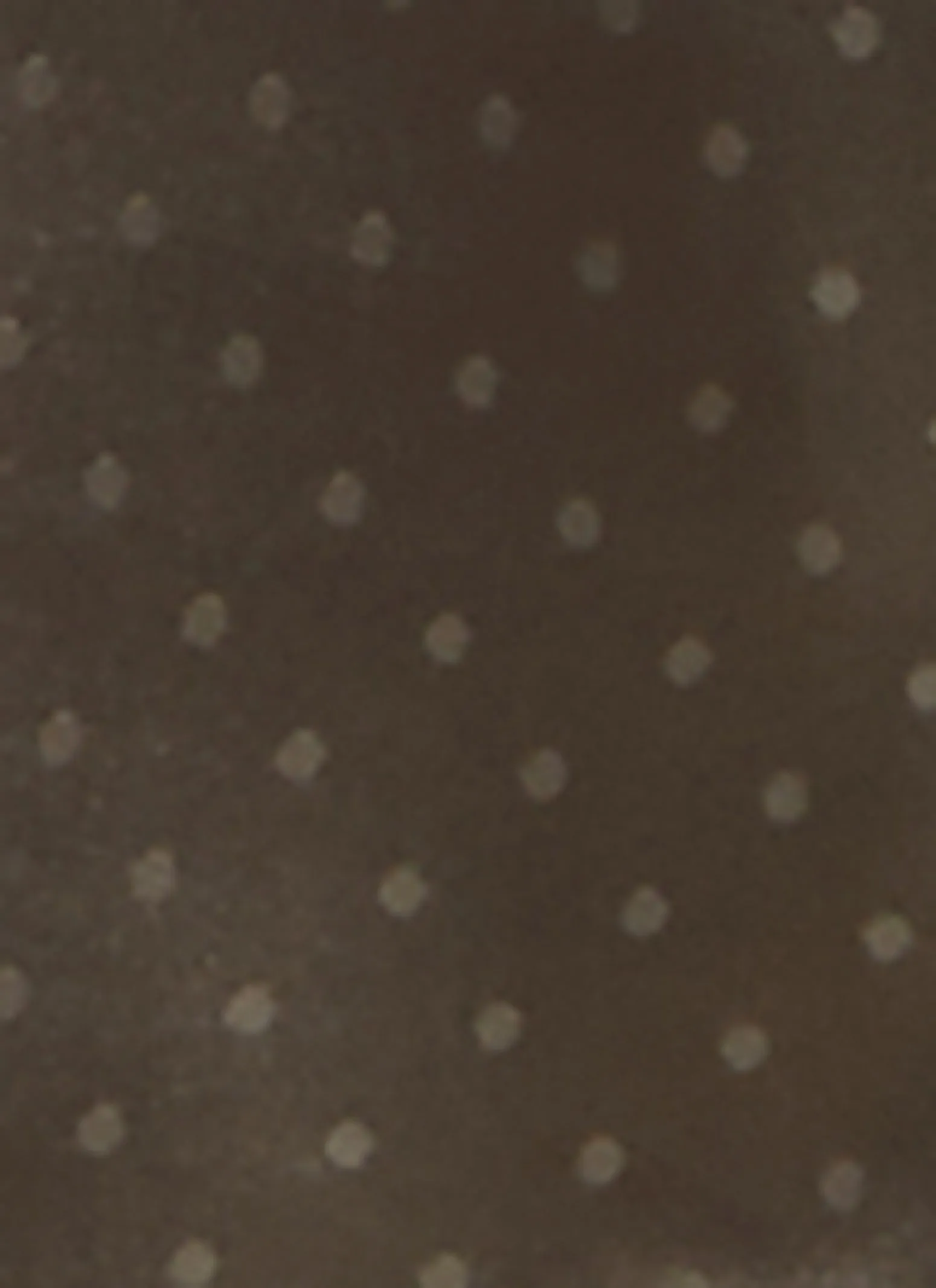 Satin Polka Dot Pajama Shirt and Shorts sold by Rainbow product image thumbnail 3