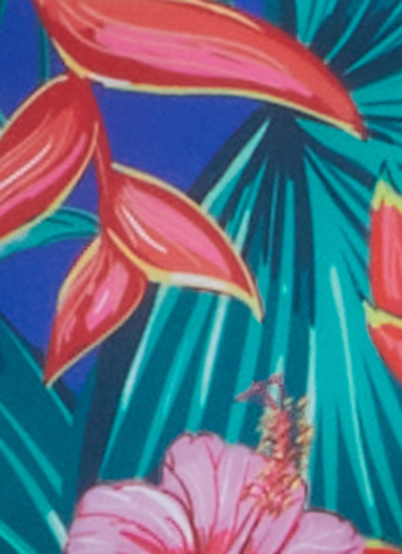 Plus Size Floral Print Swim Bikini Bottoms sold by Rainbow product image thumbnail 3