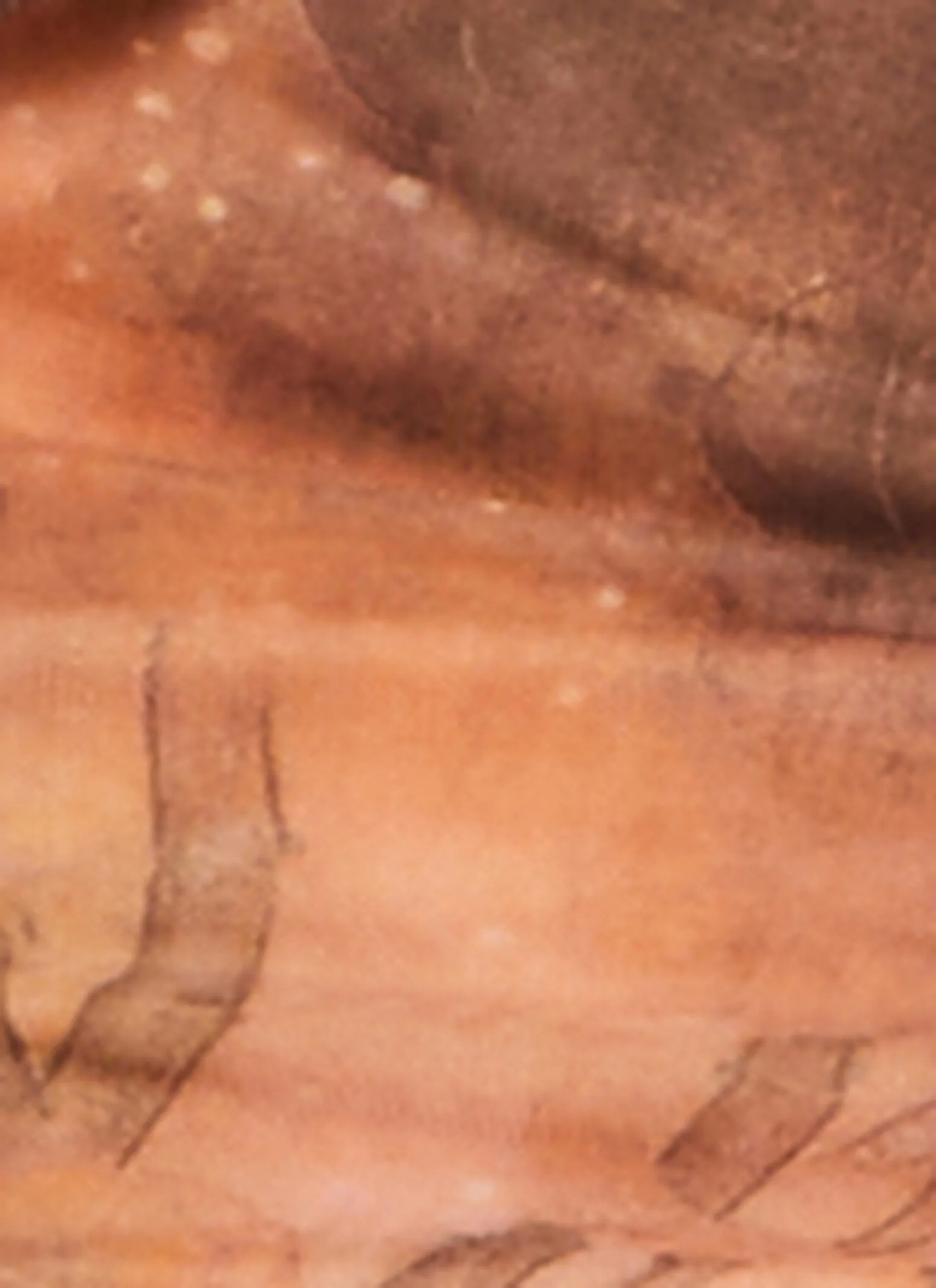 Ruffle Mesh Tie Front Bodycon Dress sold by Rainbow product image thumbnail 4