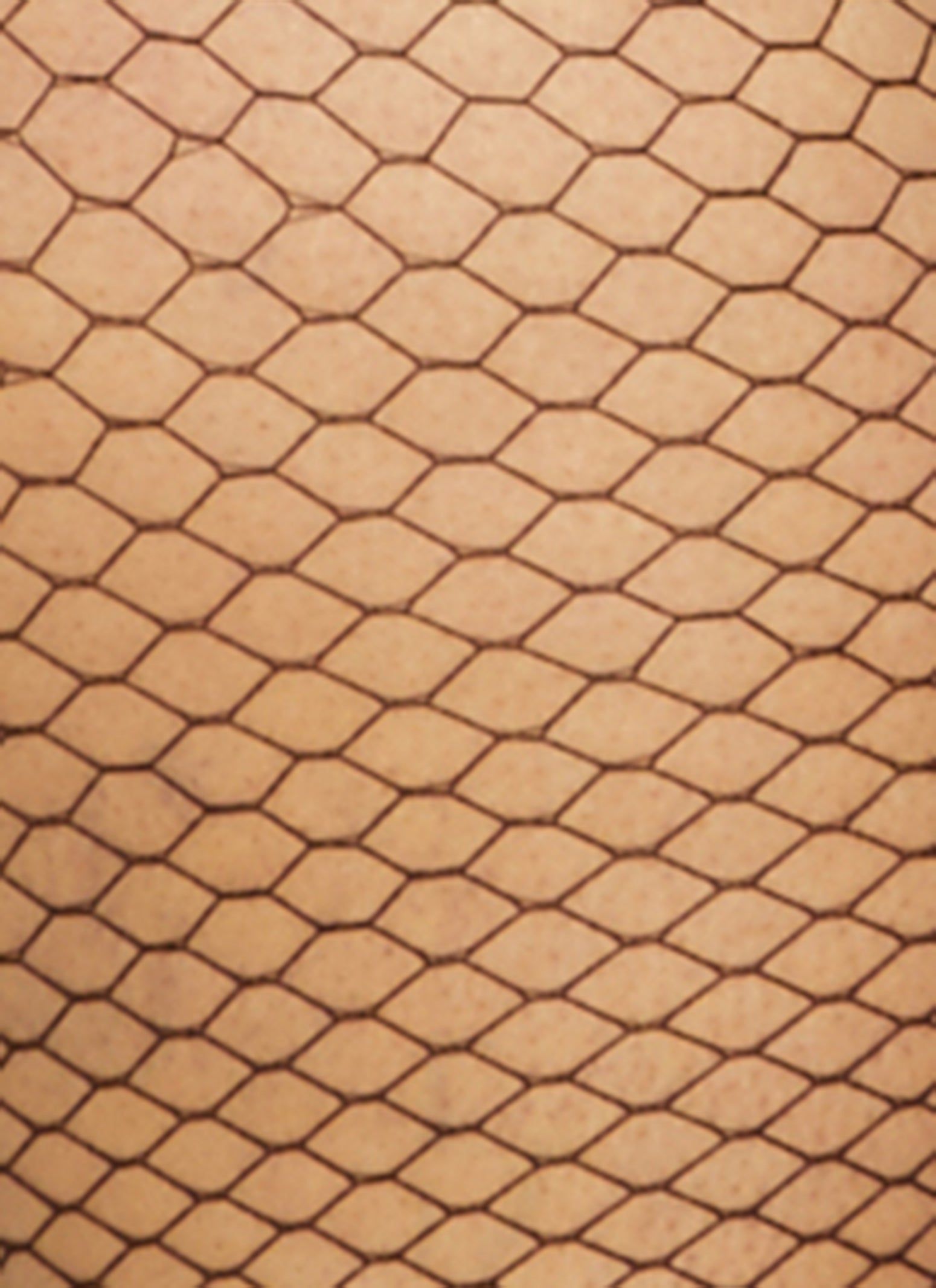 High Waist Fishnet Tights sold by Rainbow product image thumbnail 3