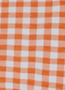 Gingham Tie Front Crop Top sold by Rainbow
