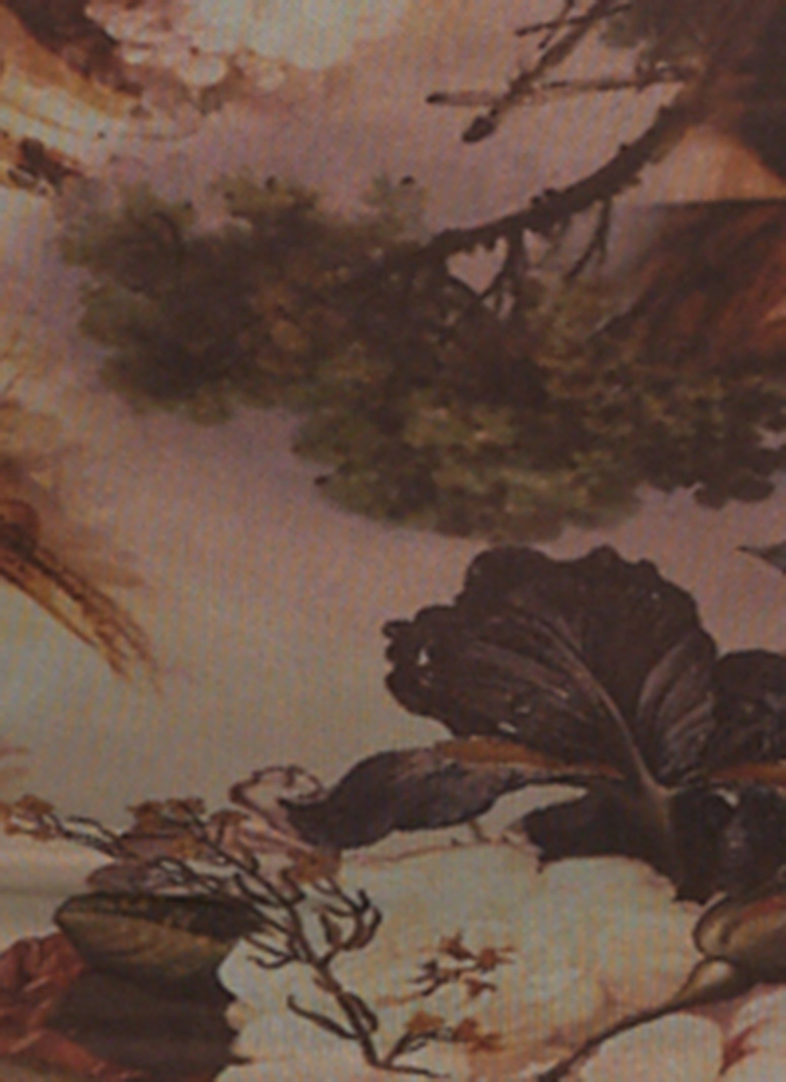 Plus Size Mesh Floral Midi Dress sold by Rainbow product image thumbnail 4