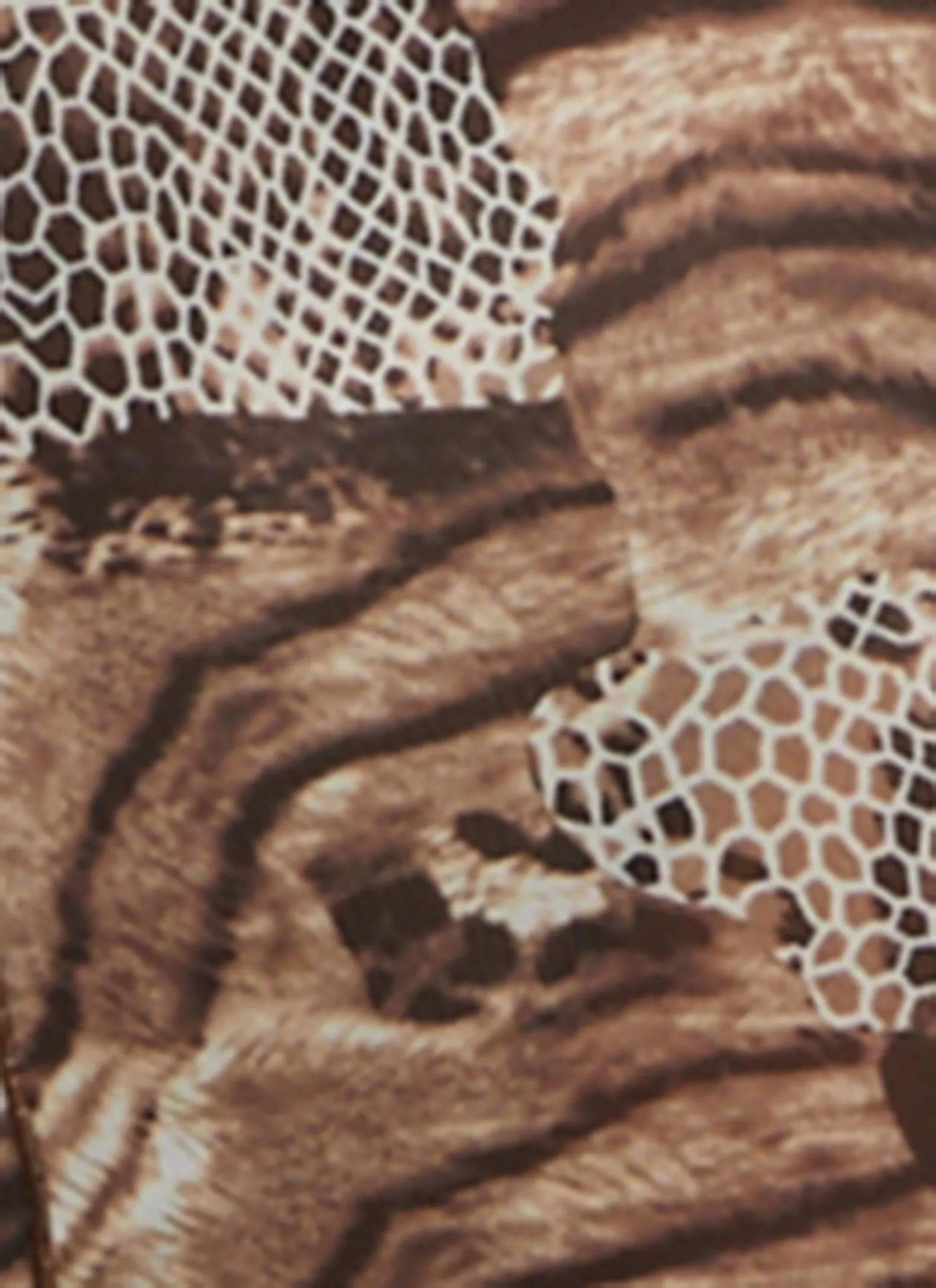 Mesh Mixed Print Bodycon Dress sold by Rainbow product image thumbnail 4