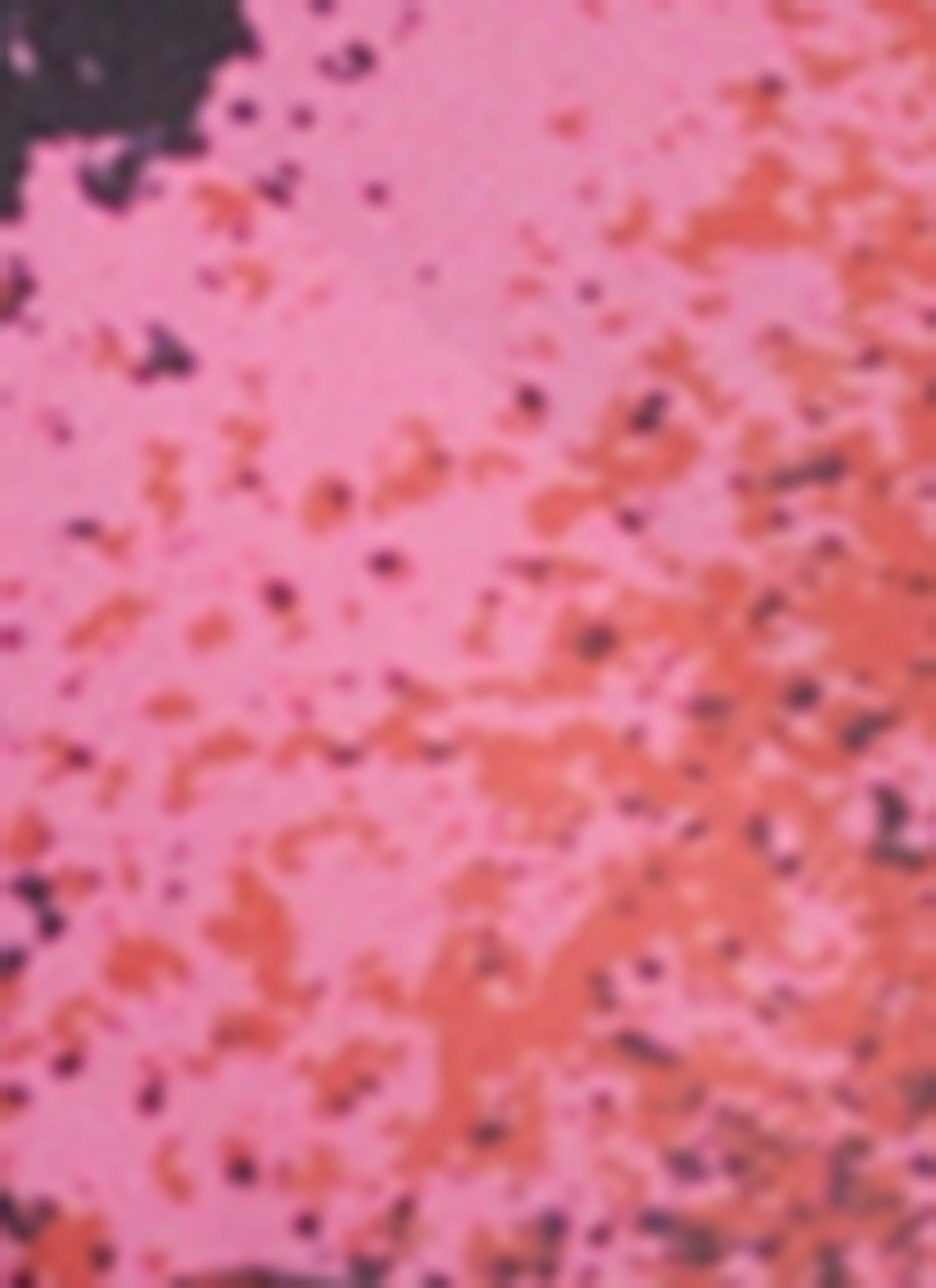 Cut Out One Piece Swimsuit and Sarong Set sold by Rainbow product image thumbnail 4