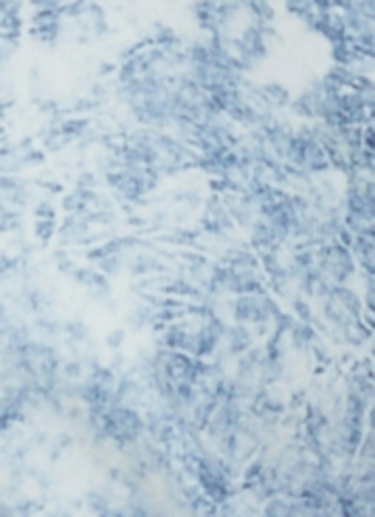 Plus Size Denim Acid Wash Zip Front Bomber Jacket sold by Rainbow product image thumbnail 4