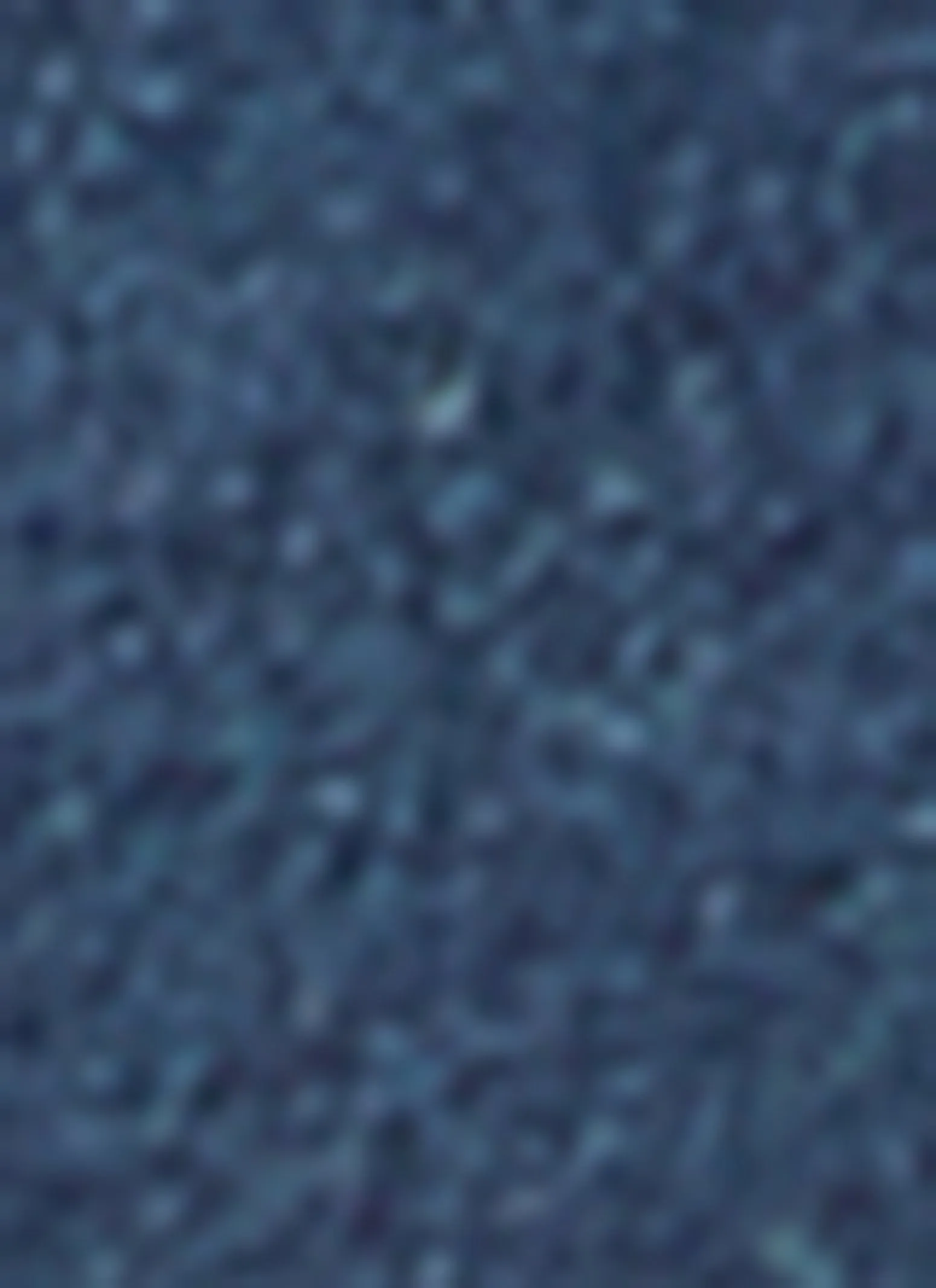 Denim Buckle Bralette sold by Rainbow product image thumbnail 3