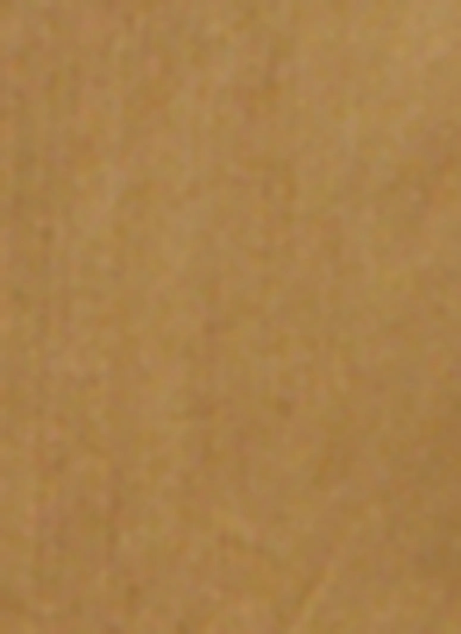 Mens Zipper Detail Cargo Pants sold by Rainbow product image thumbnail 4